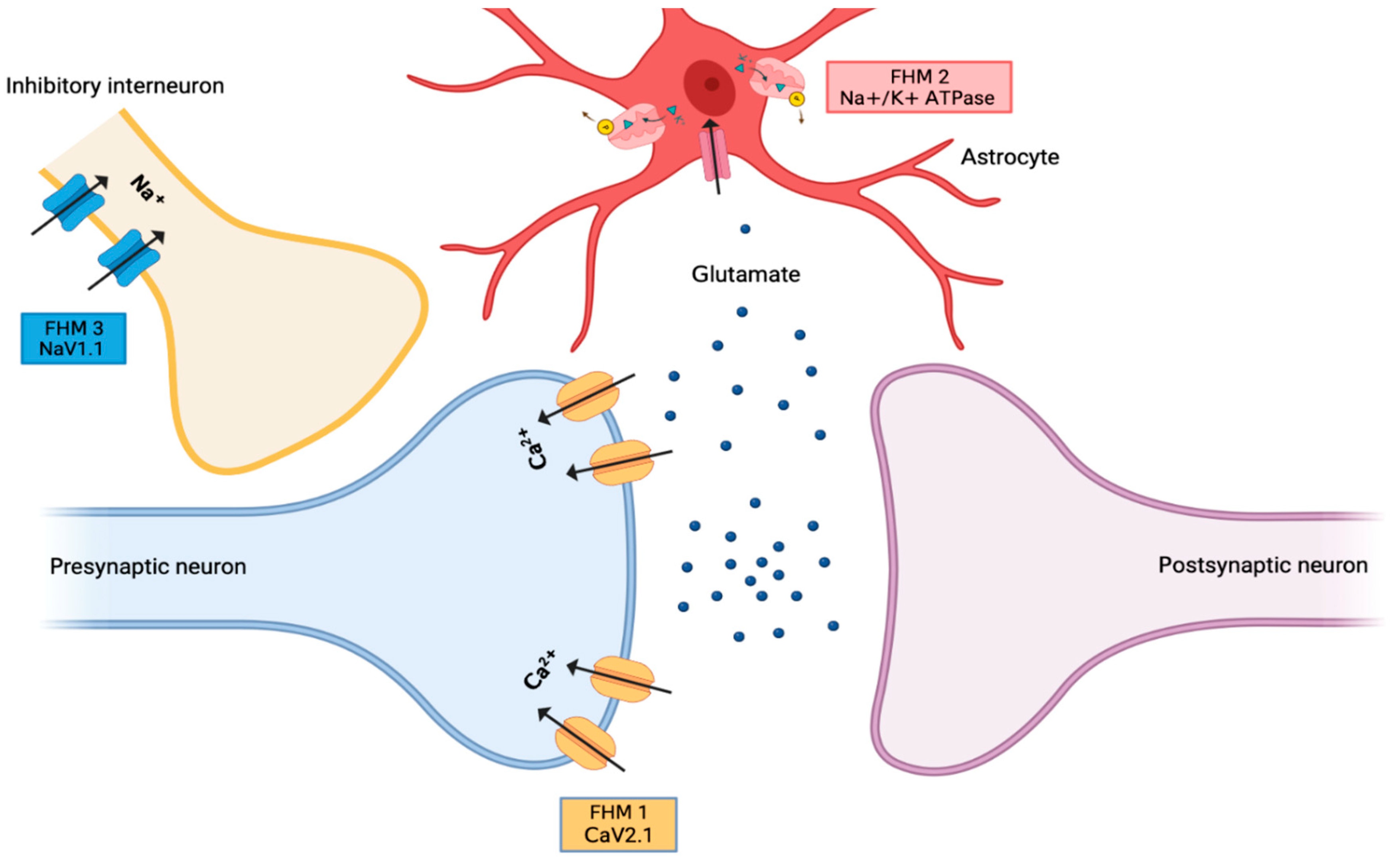 Jcm 13 02701 g002 Jcm 13 02701 g002