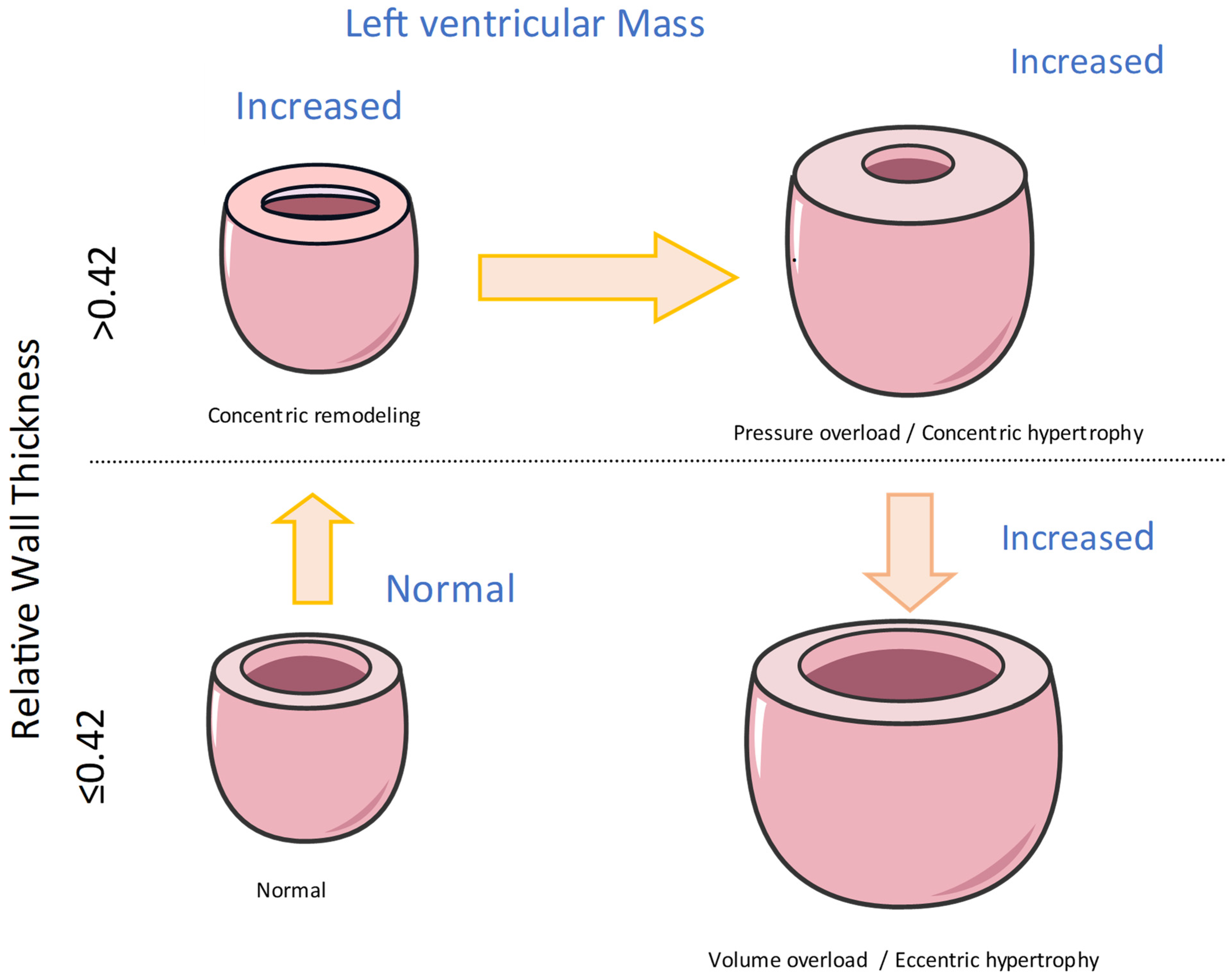 Jcm 13 02708 g001 Jcm 13 02708 g001