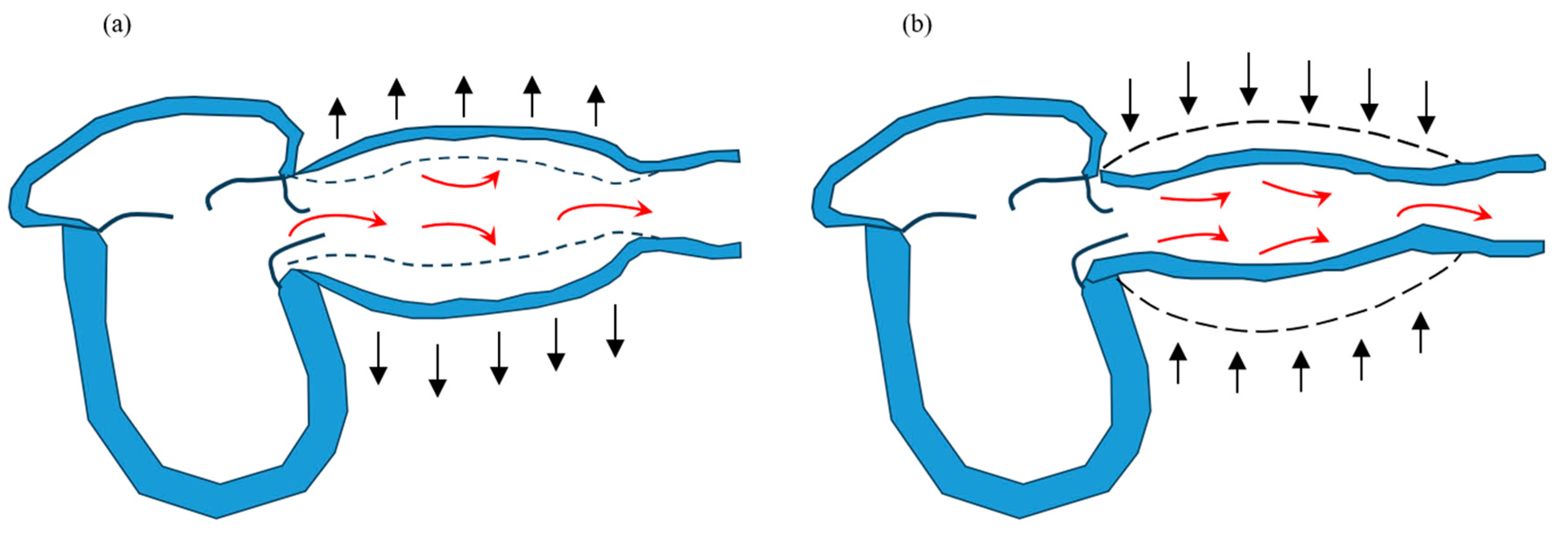 Jcm 13 02719 g001 Jcm 13 02719 g001