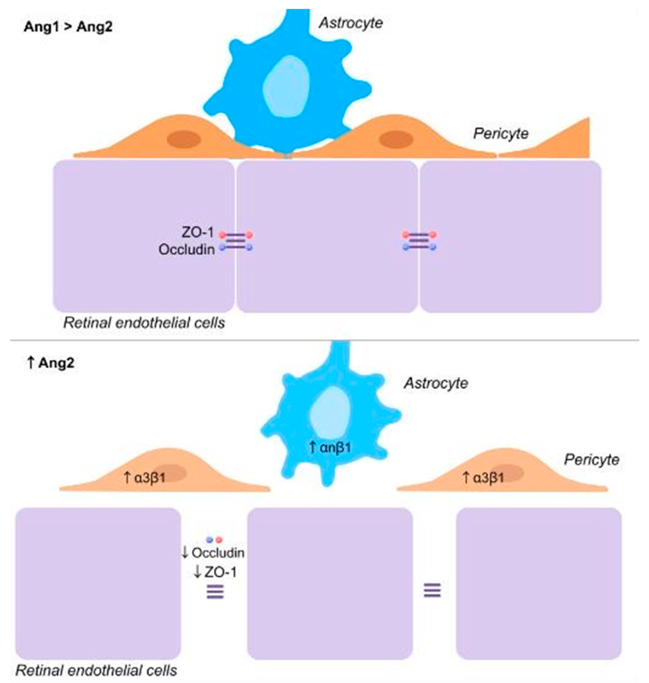 Jcm 13 02778 g002 Jcm 13 02778 g002