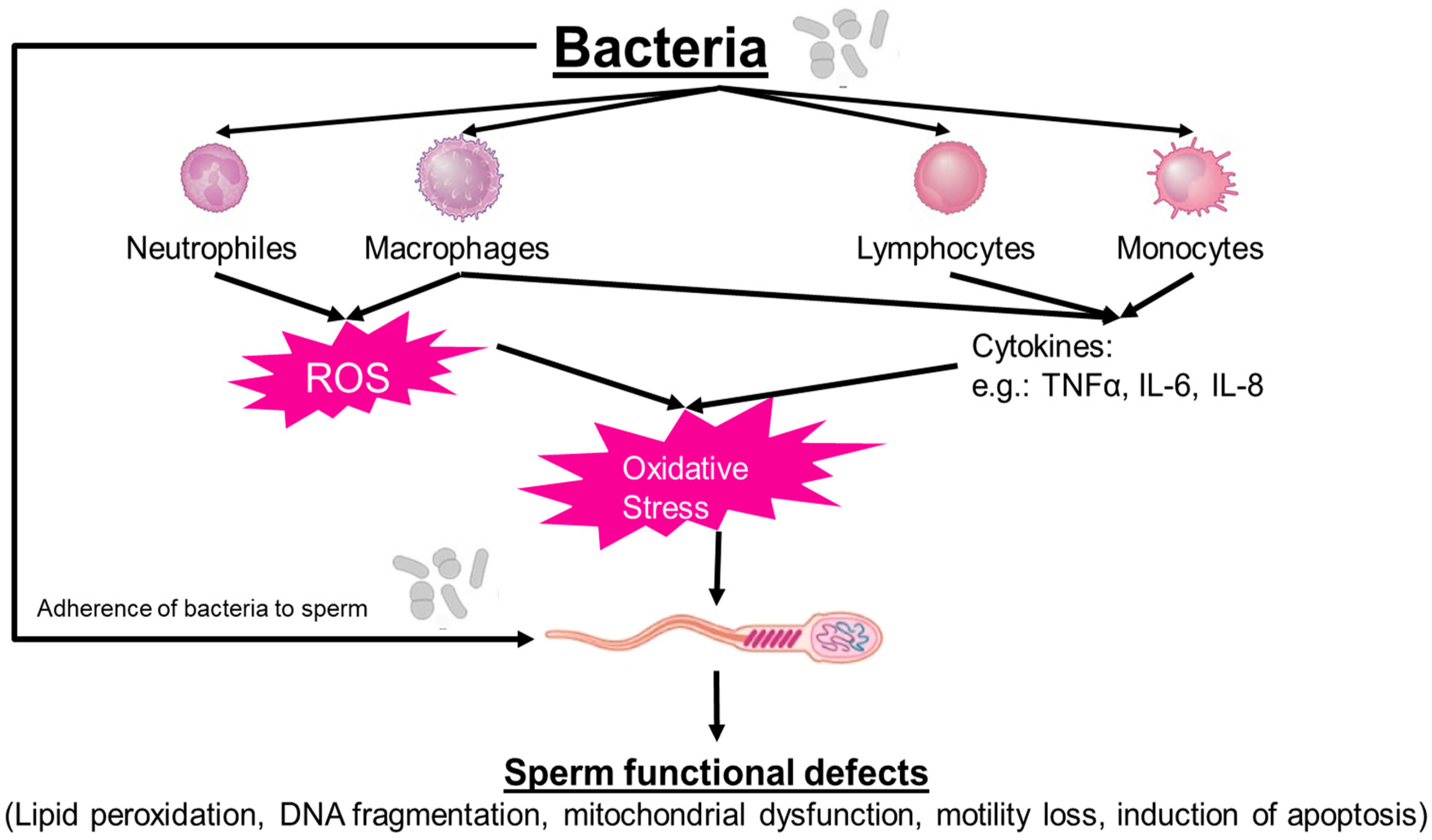 Jcm 13 02841 g001 Jcm 13 02841 g001