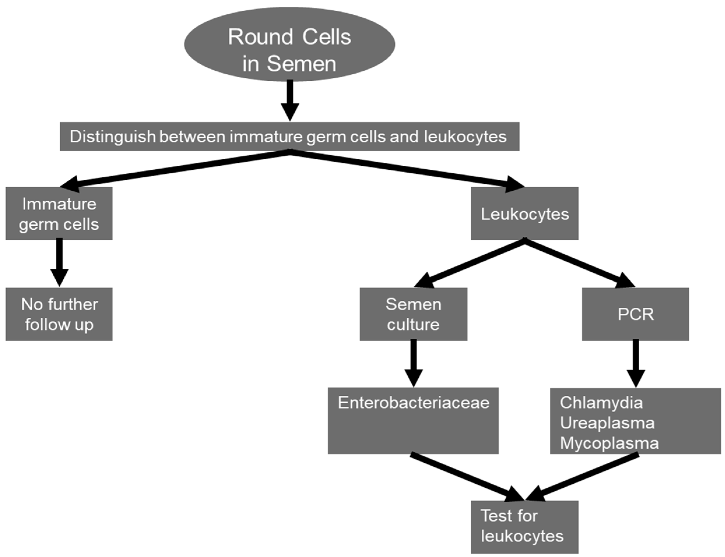 Jcm 13 02841 g003 Jcm 13 02841 g003