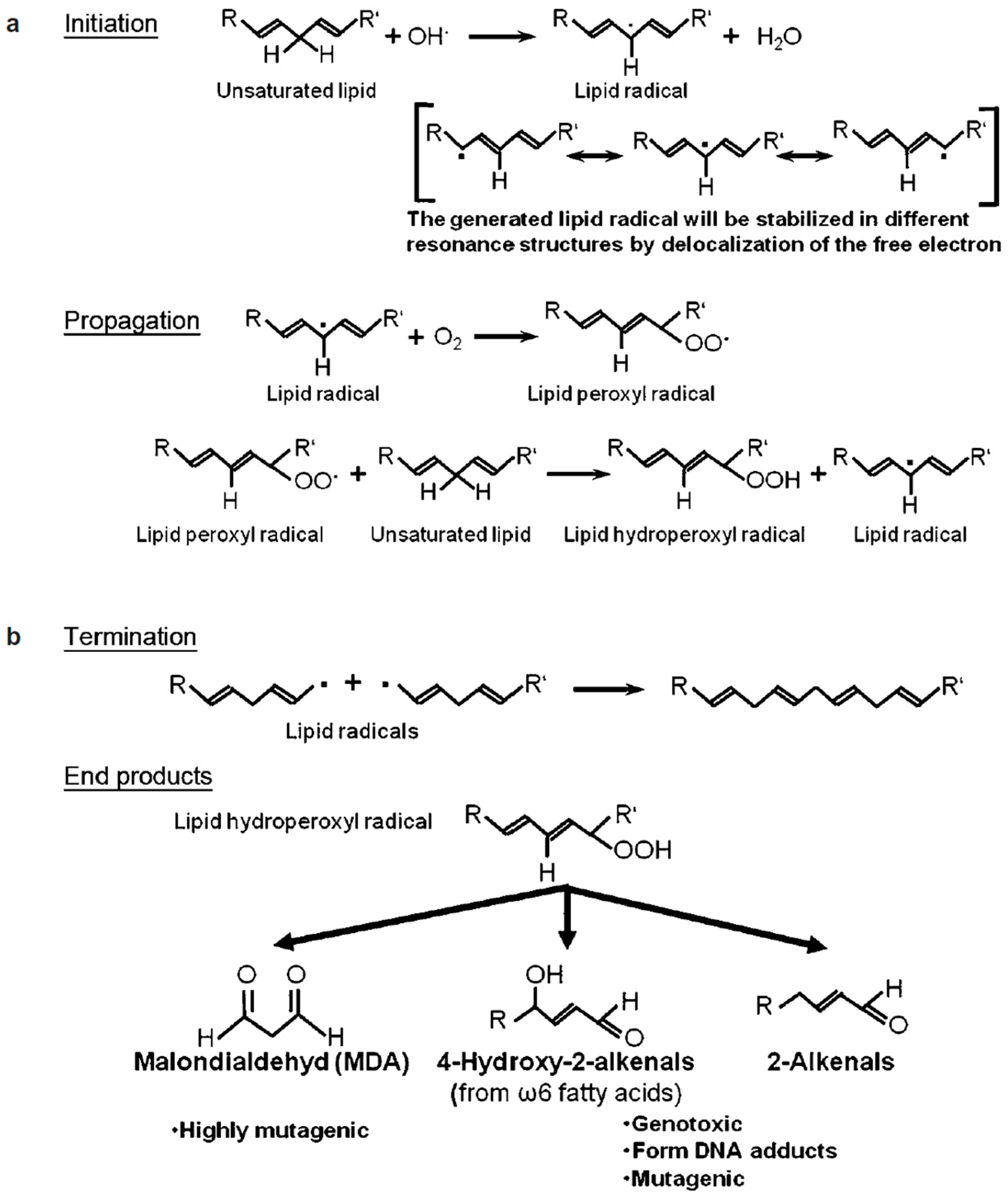Jcm 13 02841 g004 Jcm 13 02841 g004