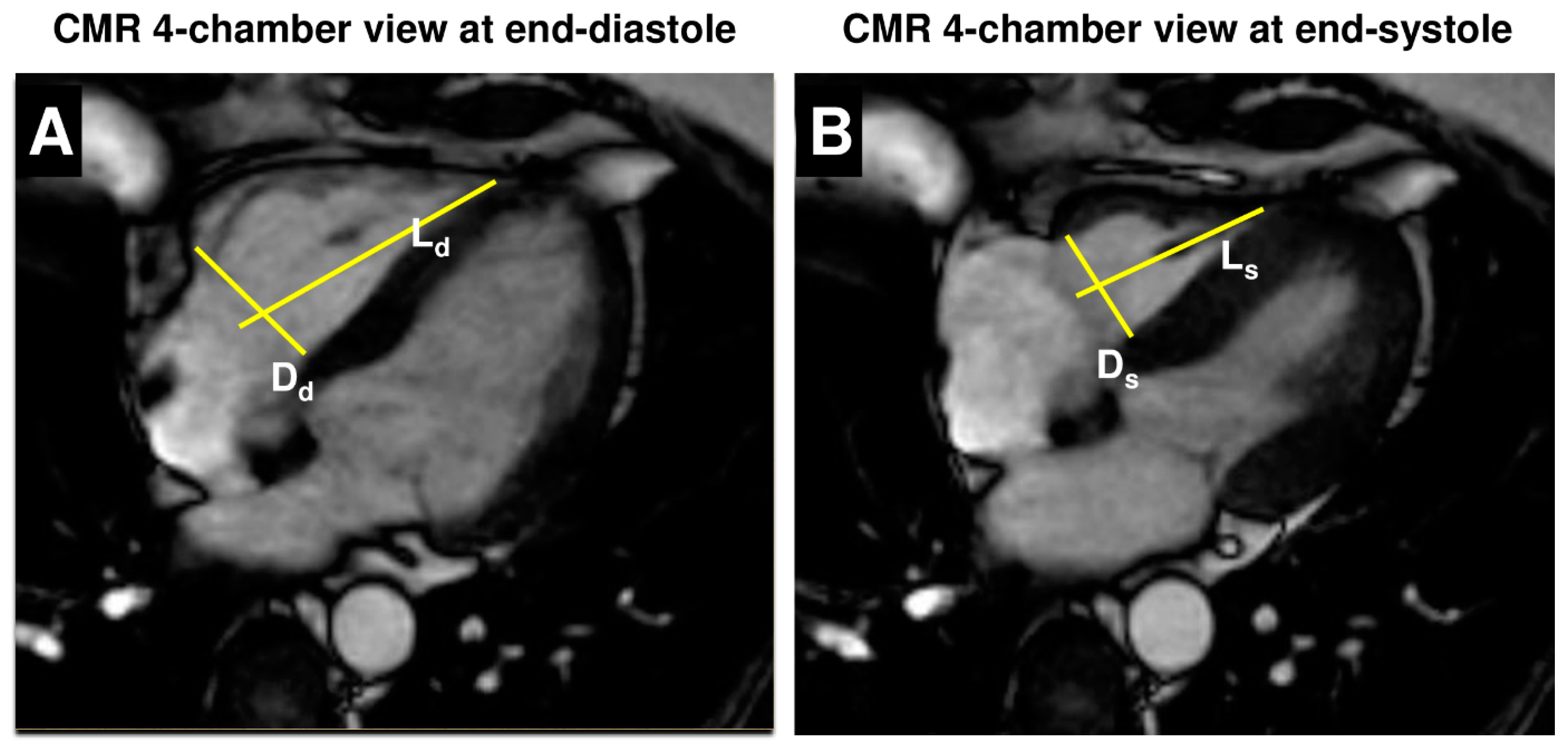 Jcm 13 02850 g001 Jcm 13 02850 g001