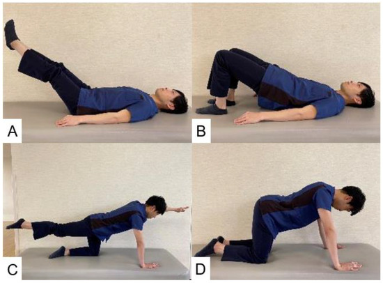 ヨガ Evaluation and Rehabilitation after Adult Lumbar Spine Surgery