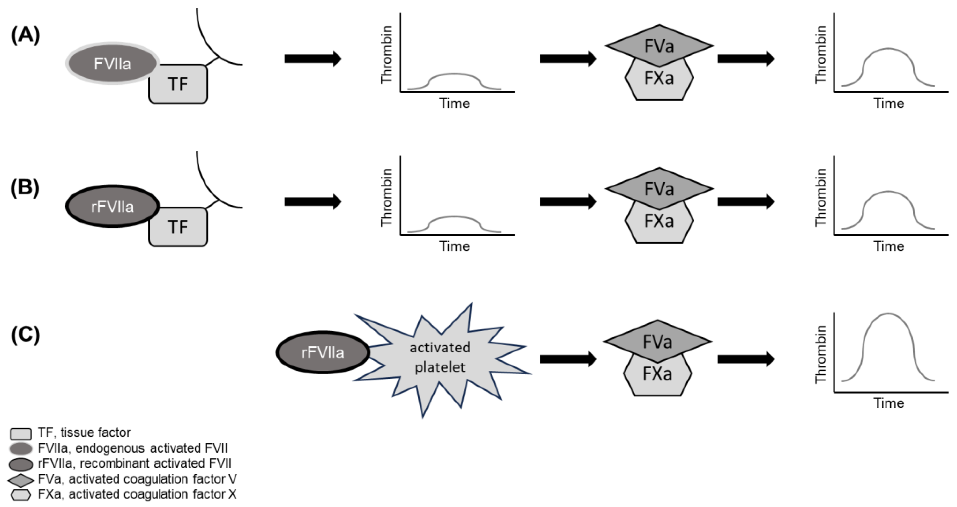 Jcm 13 02928 g002 Jcm 13 02928 g002