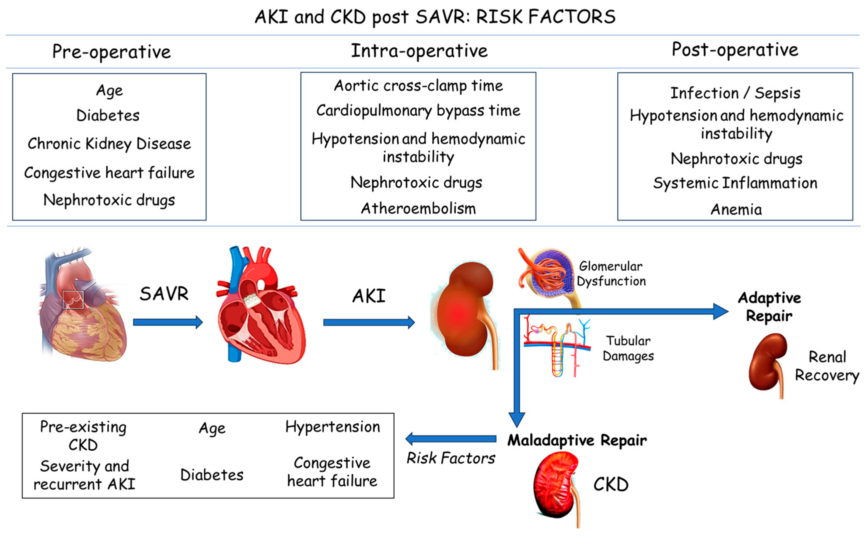 Jcm 13 02933 g001 Jcm 13 02933 g001