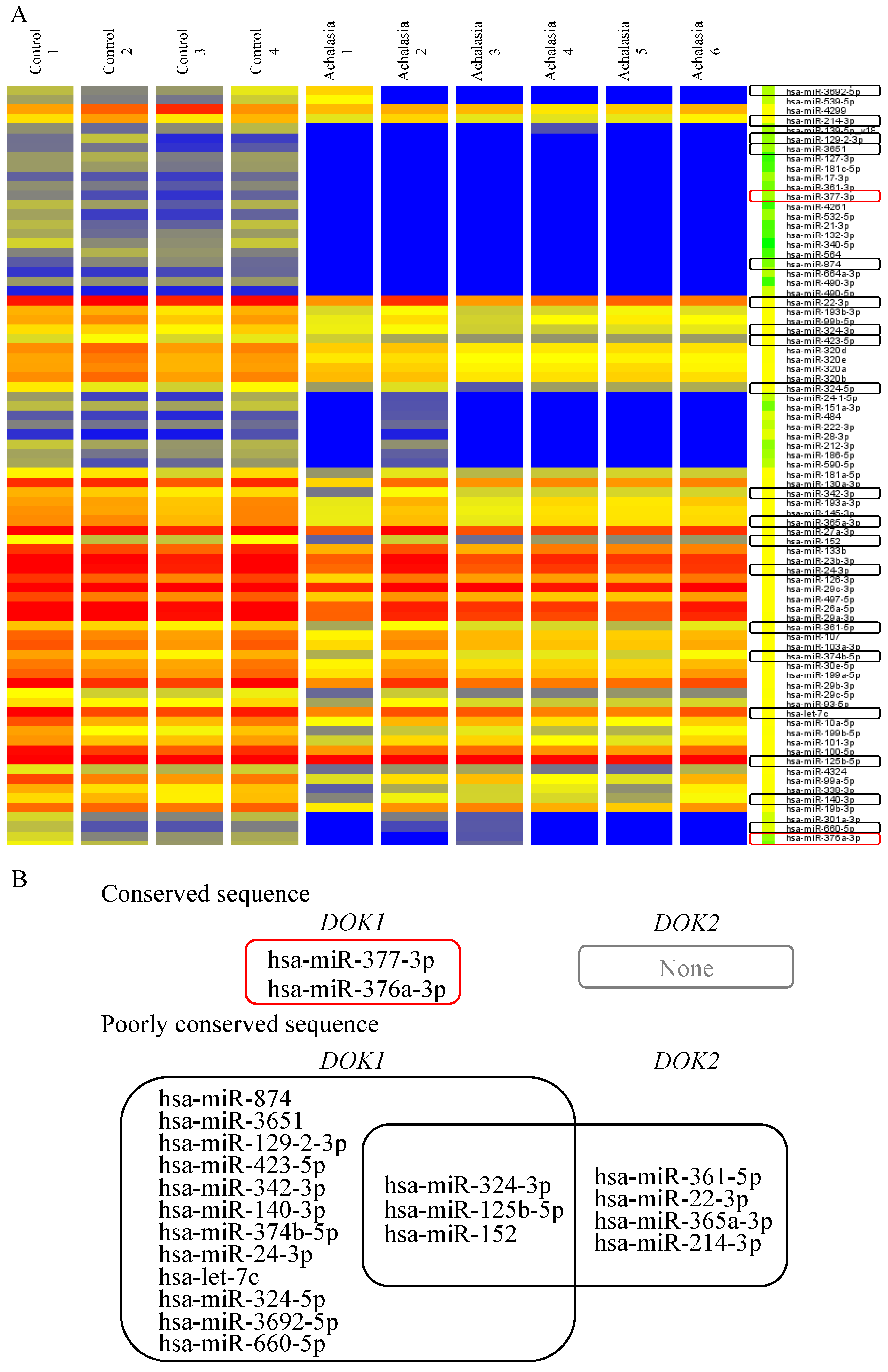 Jcm 13 03004 g005 Jcm 13 03004 g005