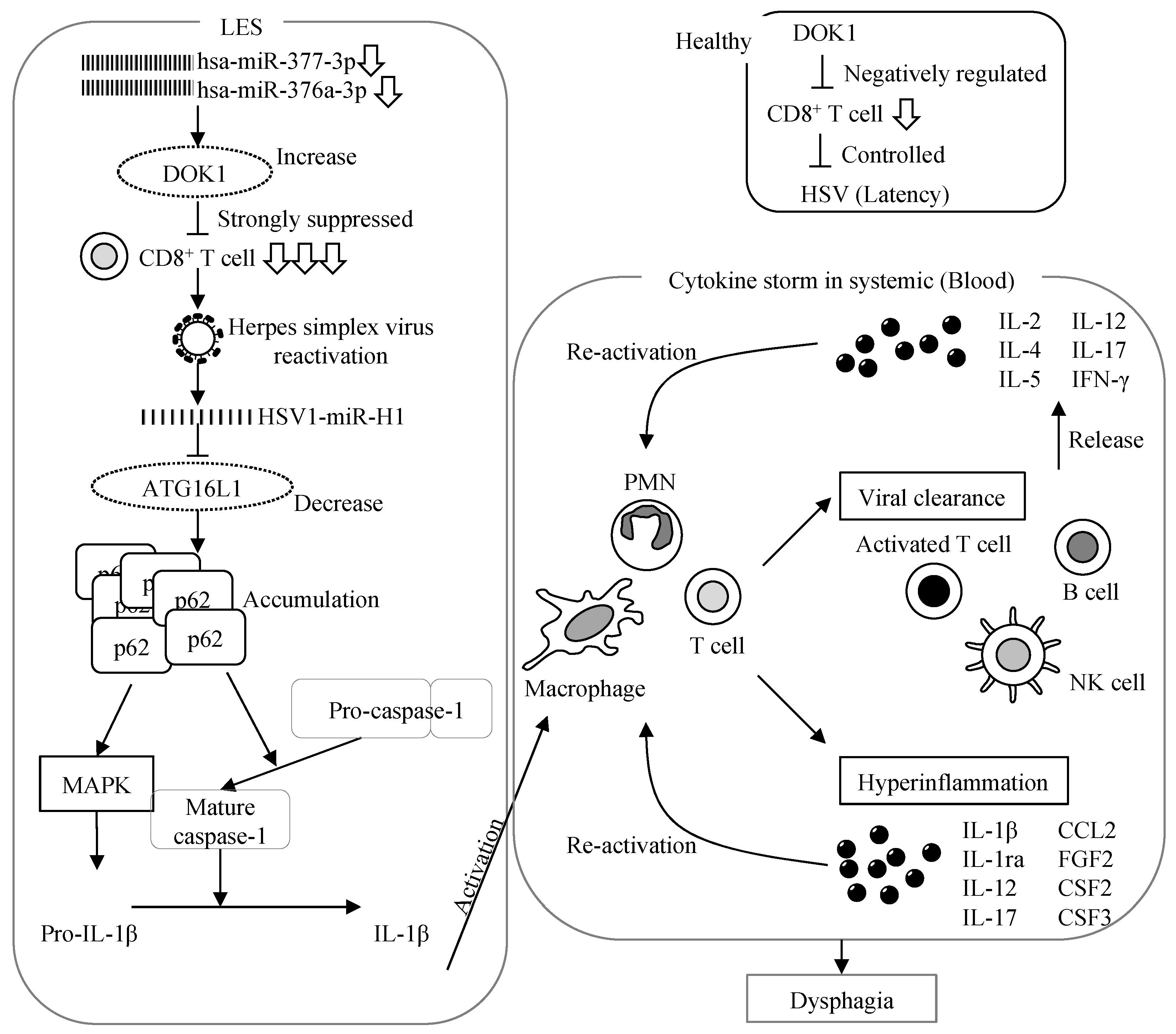 Jcm 13 03004 g006 Jcm 13 03004 g006