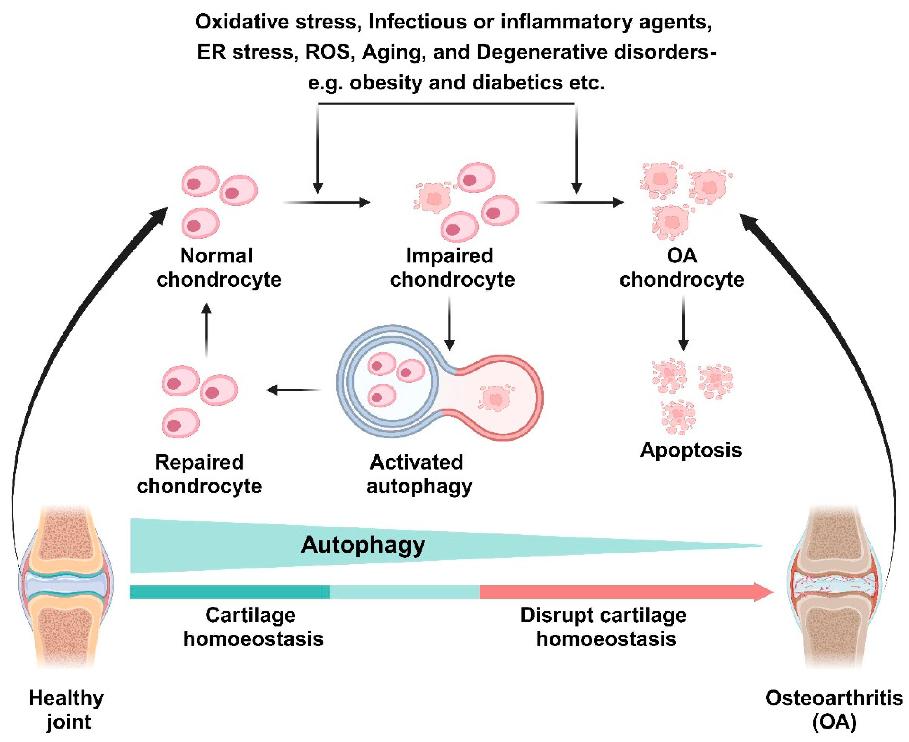 Jcm 13 03005 g002 Jcm 13 03005 g002