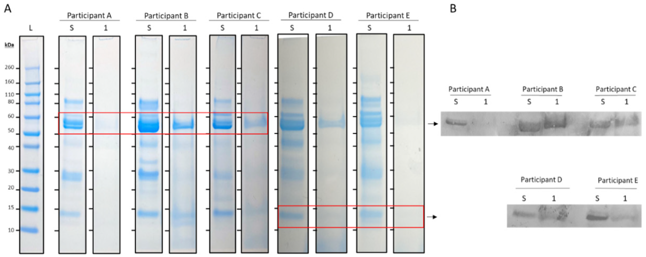 Jcm 13 03023 g001 Jcm 13 03023 g001