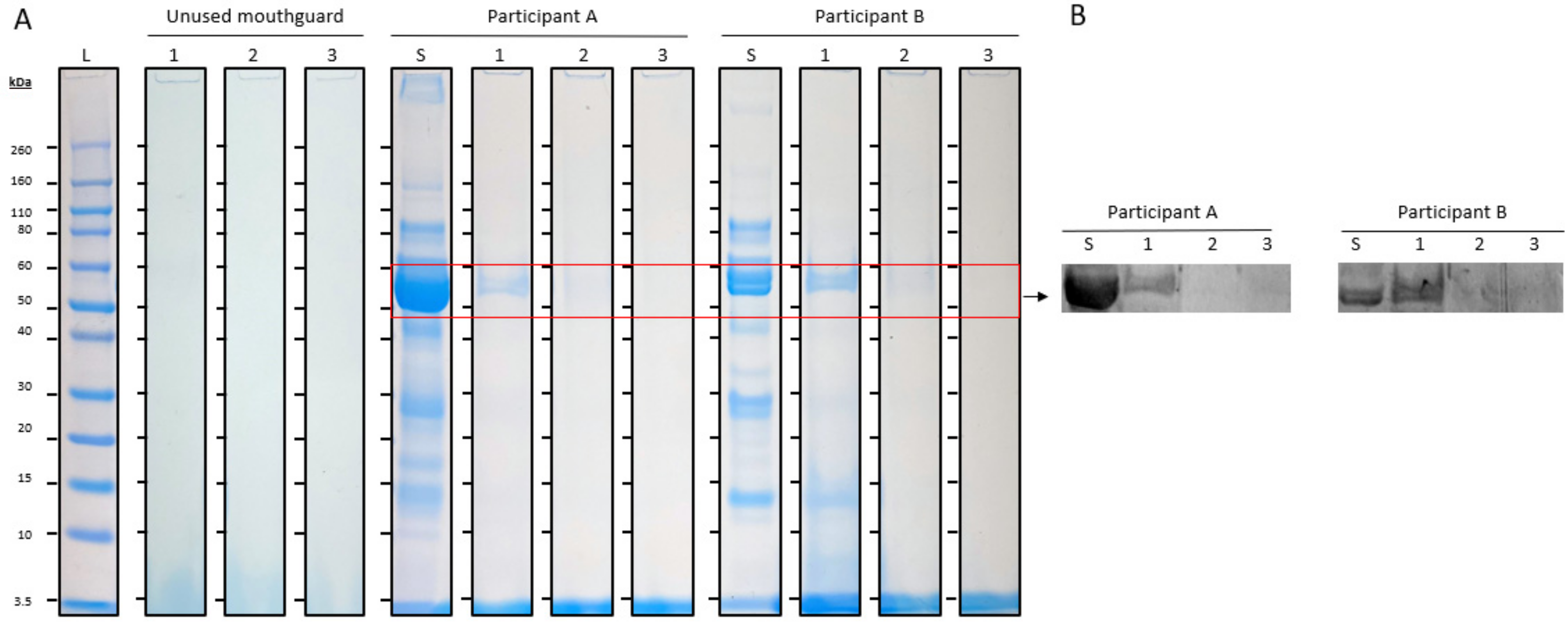 Jcm 13 03023 g002 Jcm 13 03023 g002