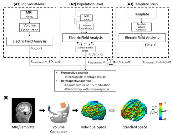 Perspectives on Optimized Transcranial Electrical Stimulation 