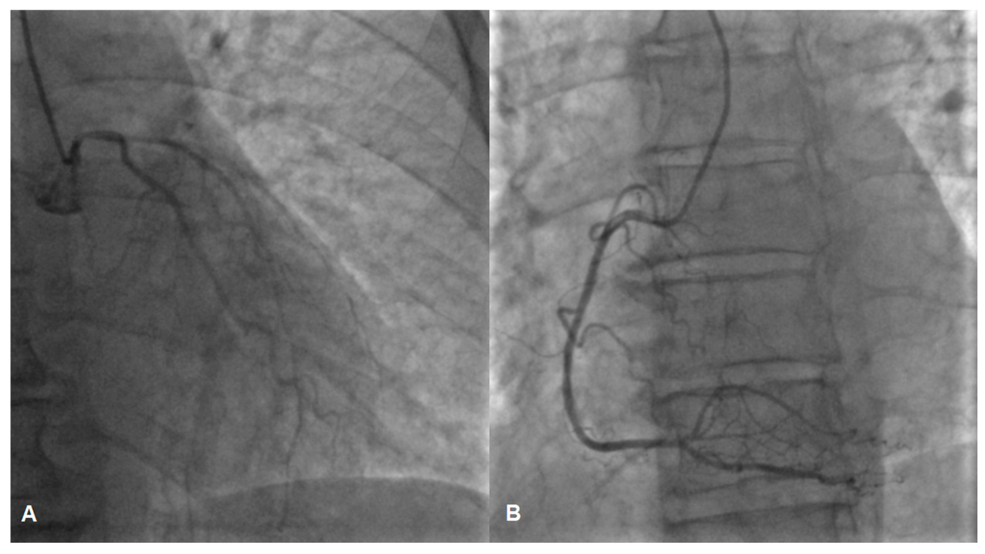 Jcm 13 03130 g002 Jcm 13 03130 g002
