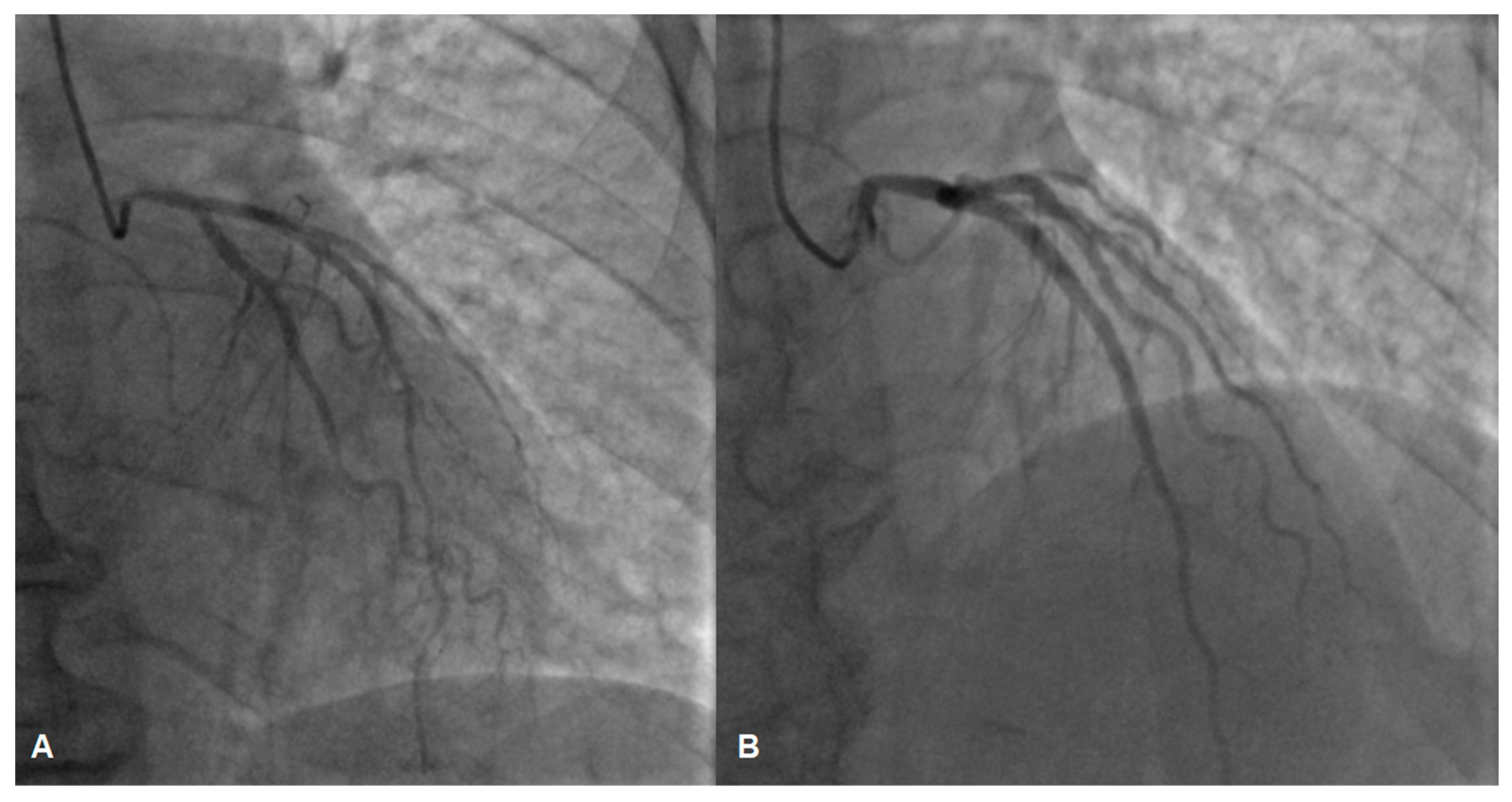 Jcm 13 03130 g003 Jcm 13 03130 g003
