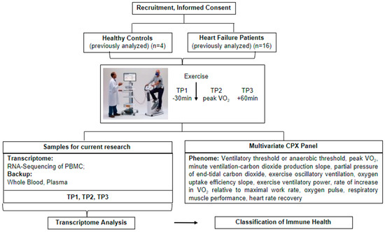 An Exercise Immune Fitness Test to Unravel Disease 