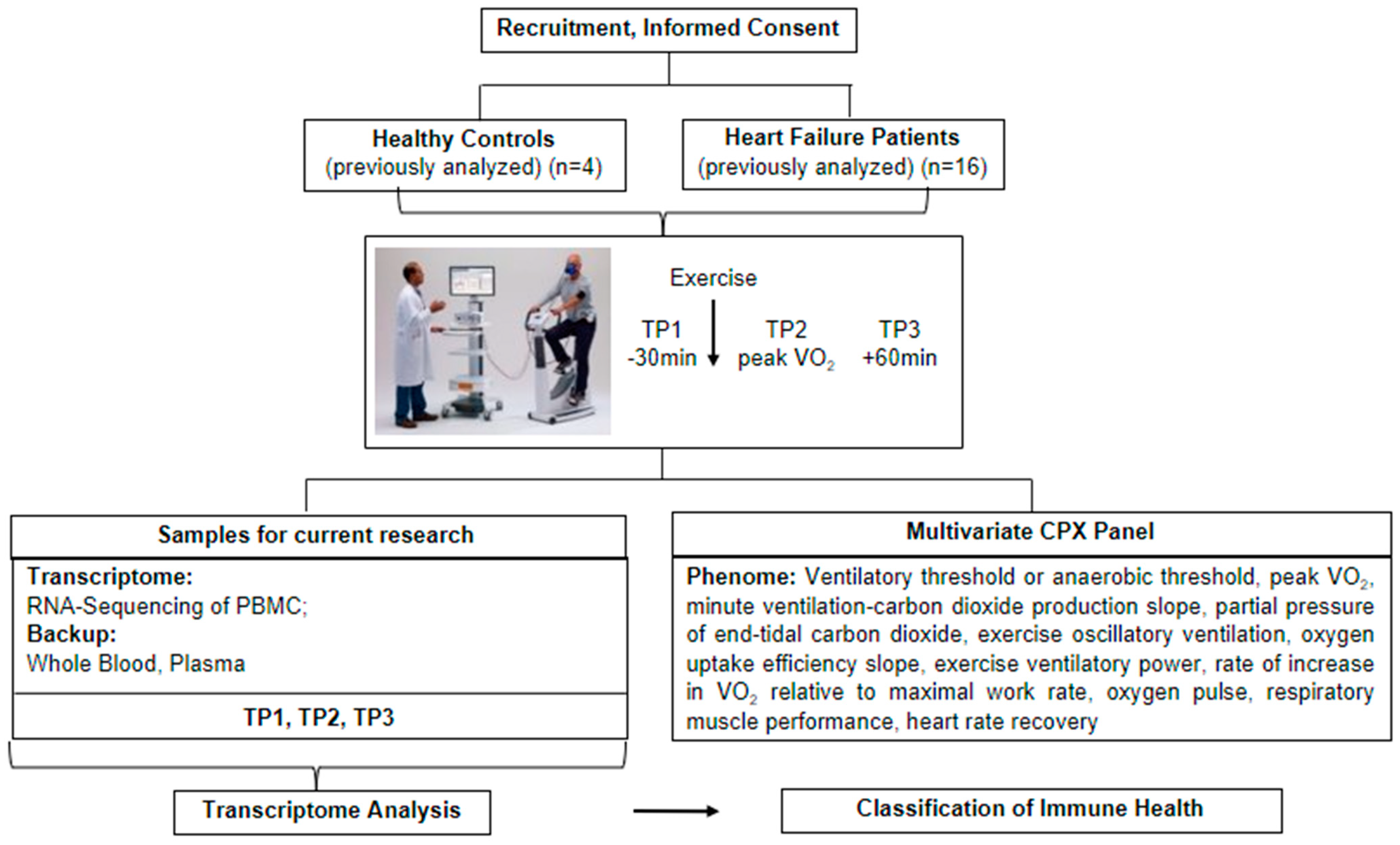 An Exercise Immune Fitness Test to Unravel Disease 