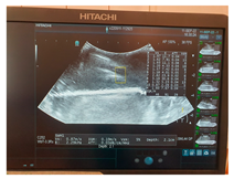 Jcm 13 03440 i001 Jcm 13 03440 i001