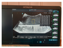 Jcm 13 03440 i002 Jcm 13 03440 i002