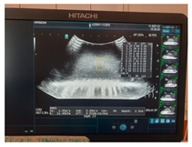 Jcm 13 03440 i003 Jcm 13 03440 i003