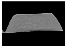 Jcm 13 03440 i021 Jcm 13 03440 i021