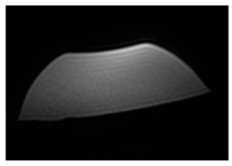 Jcm 13 03440 i023 Jcm 13 03440 i023