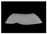 Jcm 13 03440 i034 Jcm 13 03440 i034