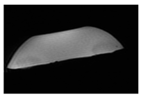 Jcm 13 03440 i040 Jcm 13 03440 i040