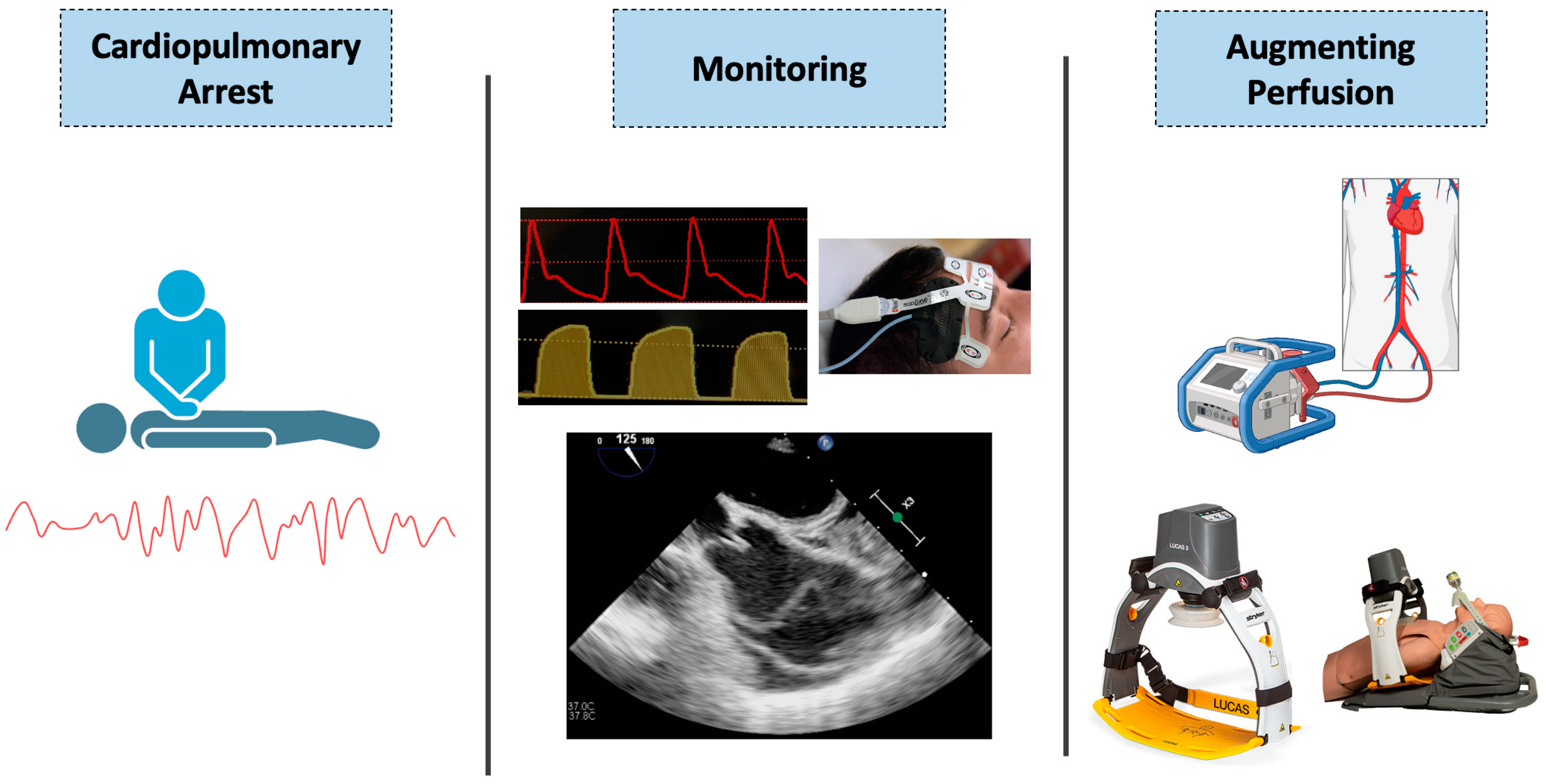 Jcm 13 03527 g001 Jcm 13 03527 g001