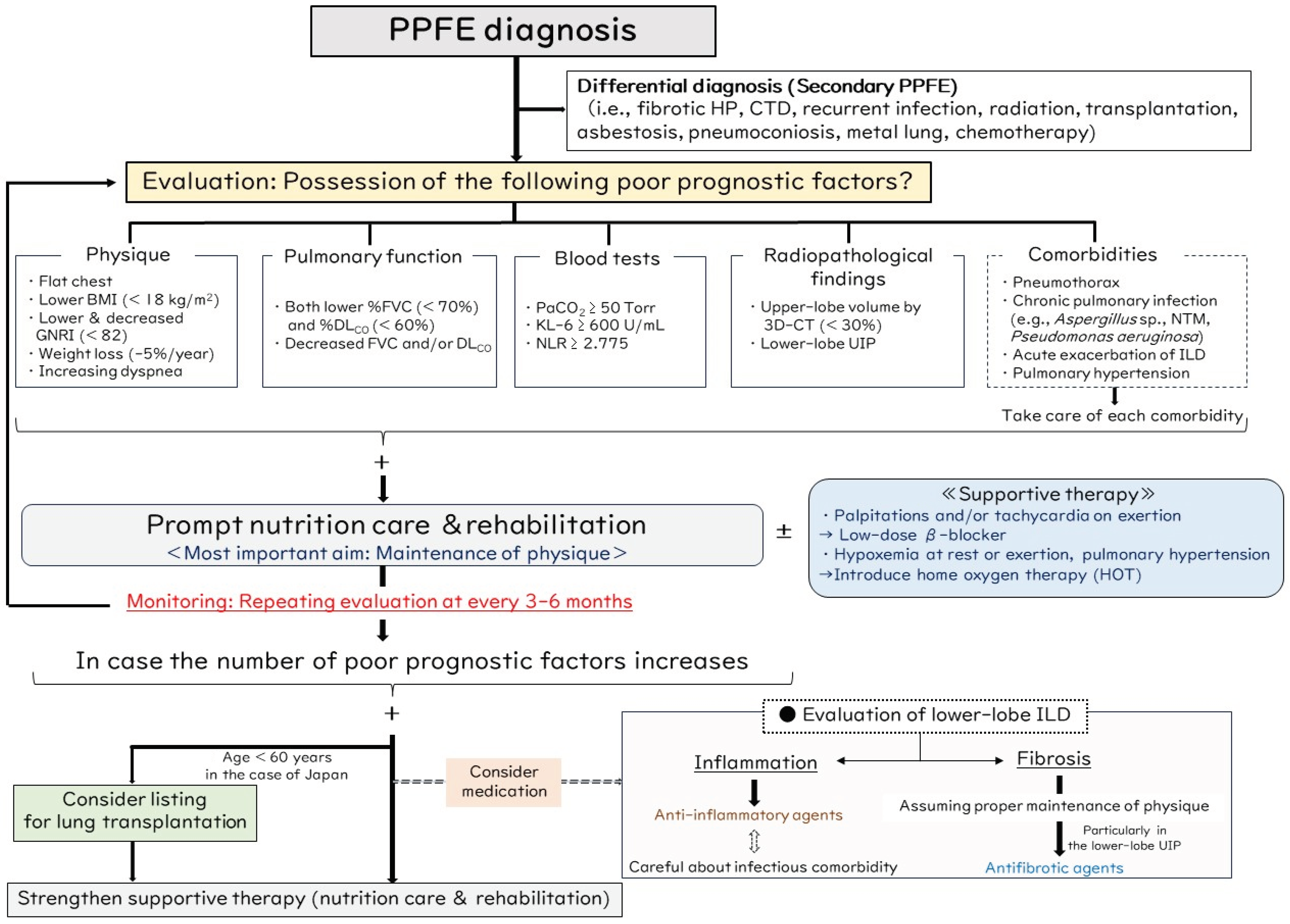 Jcm 13 03675 g008 Jcm 13 03675 g008