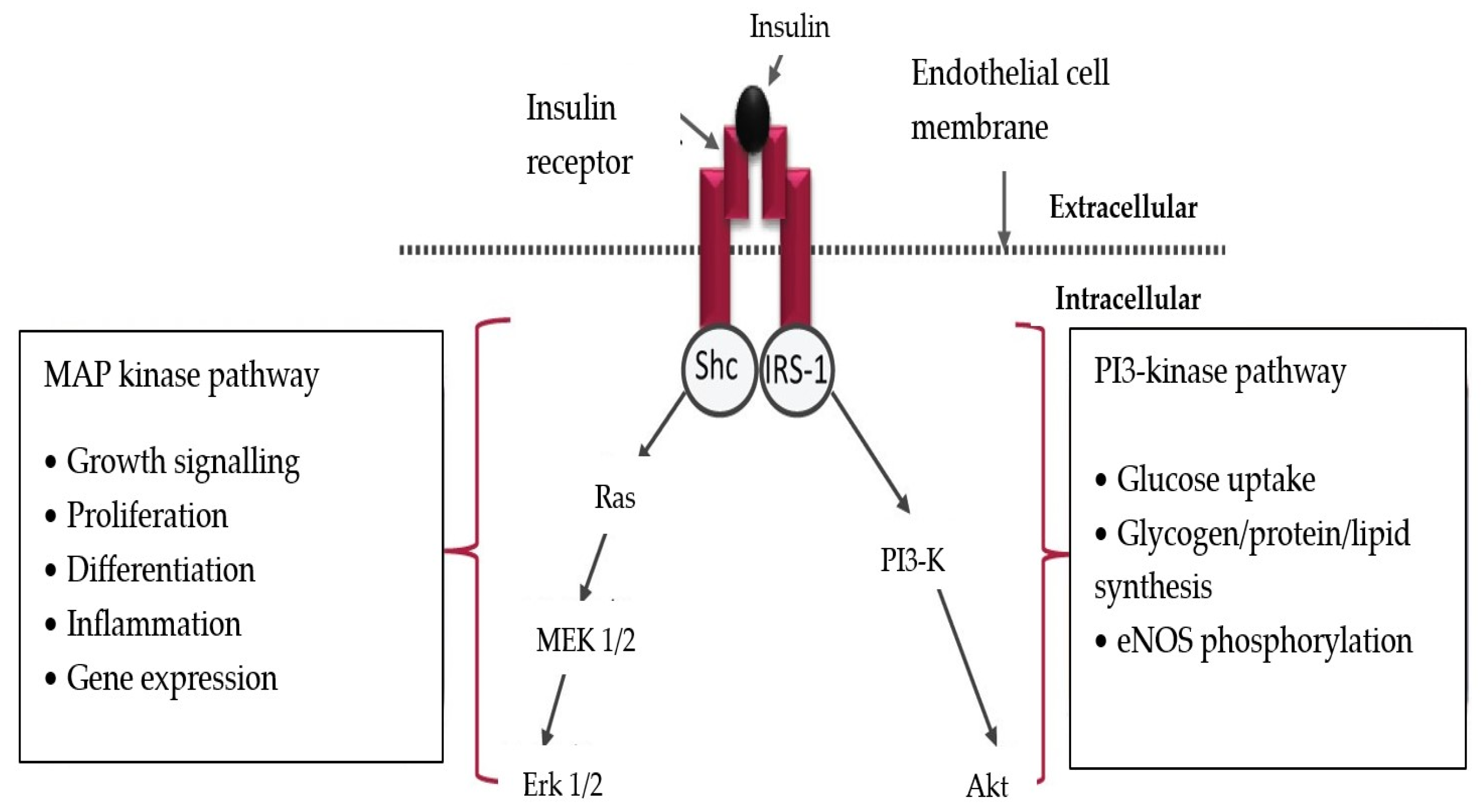 Jcm 13 03687 g001 Jcm 13 03687 g001