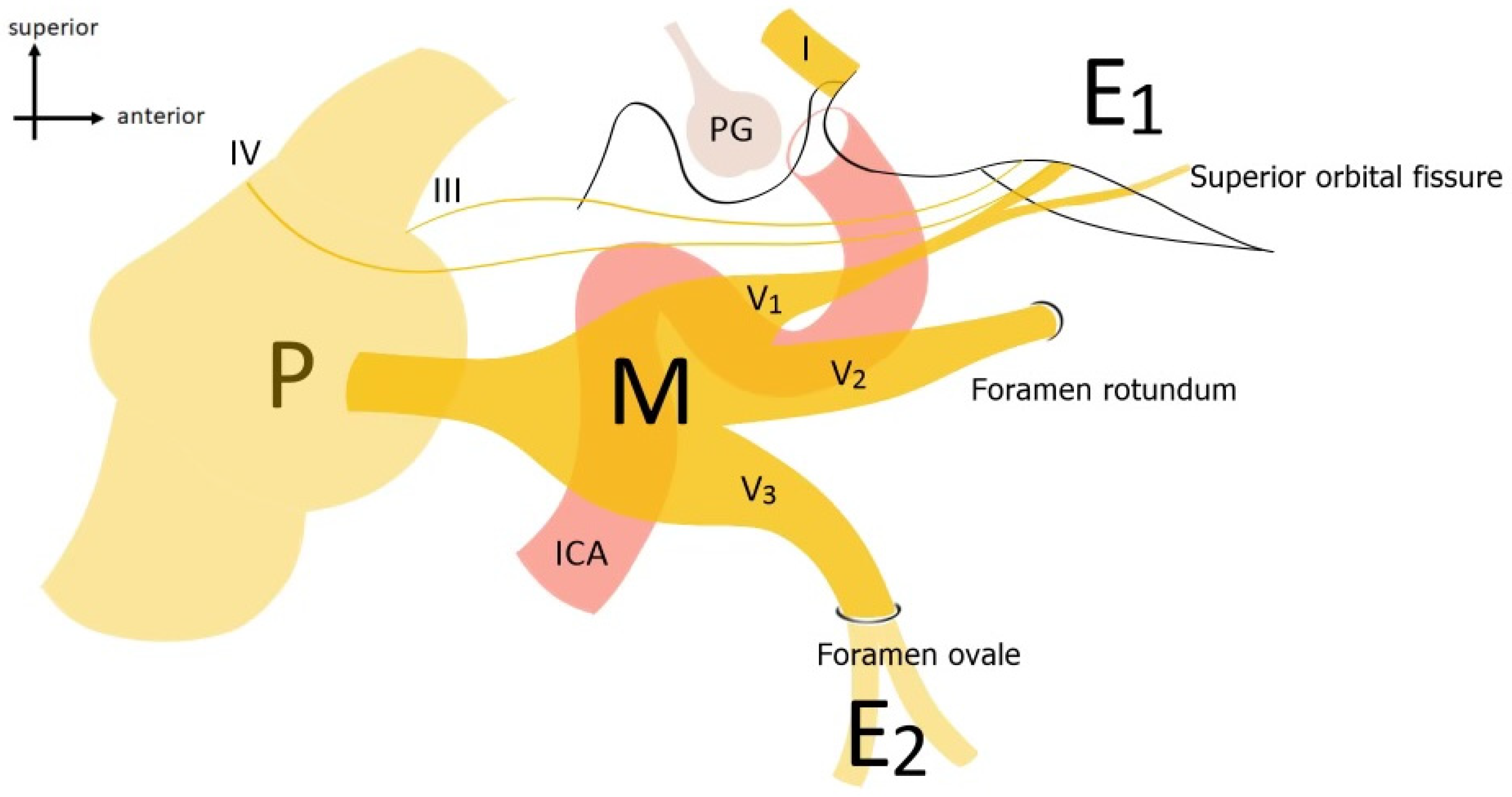 Jcm 13 03701 g001 Jcm 13 03701 g001