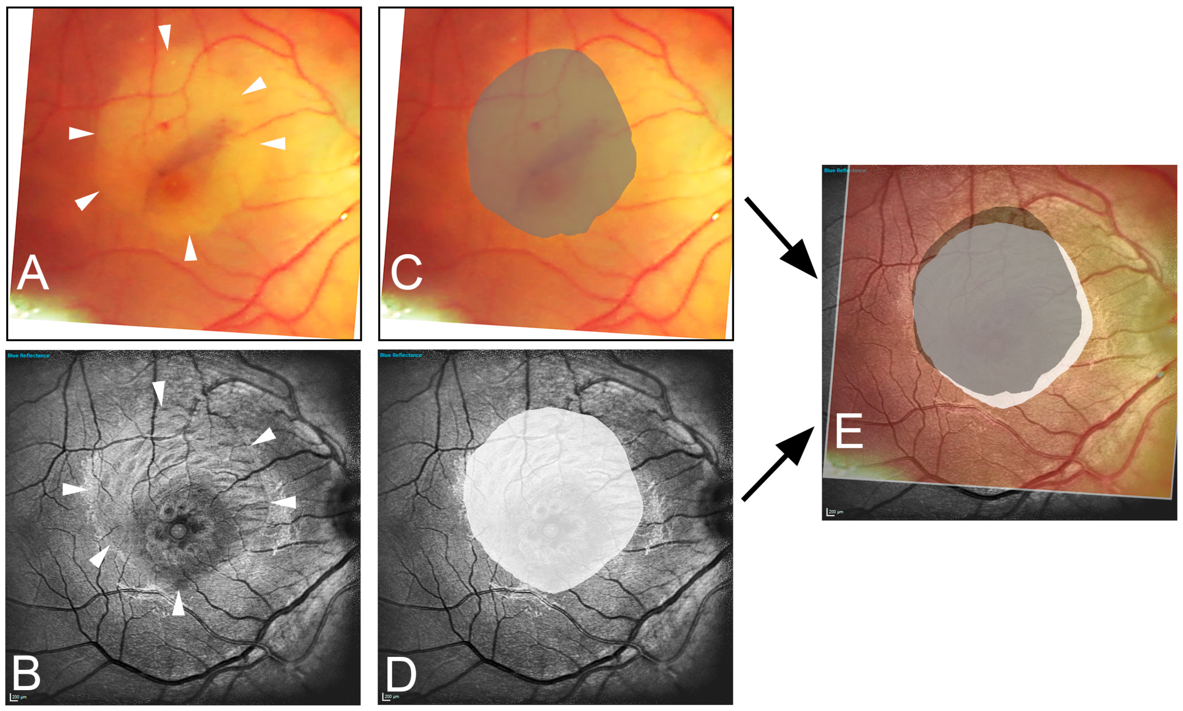 Jcm 13 03938 g001 Jcm 13 03938 g001