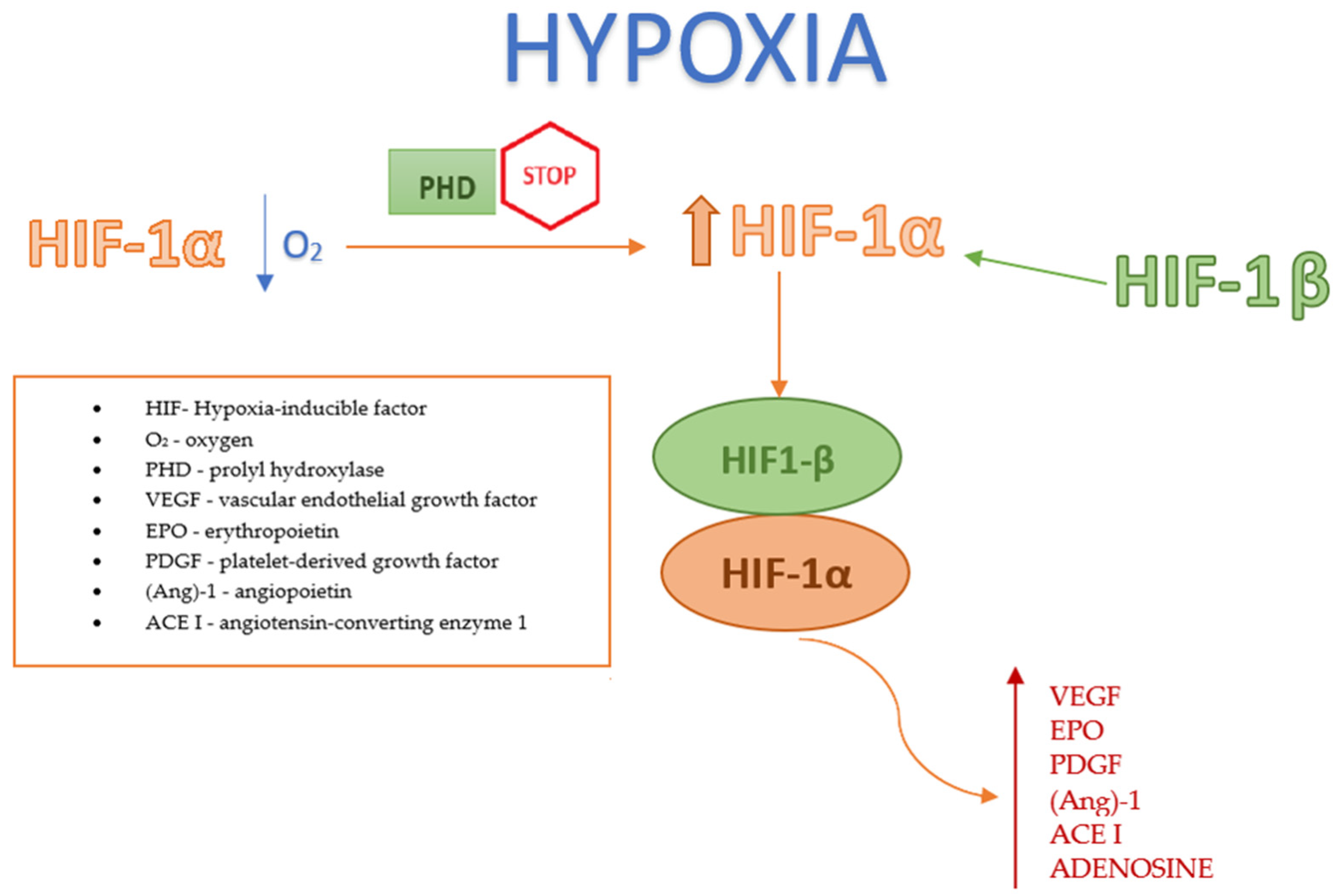 Jcm 13 04034 g002 Jcm 13 04034 g002