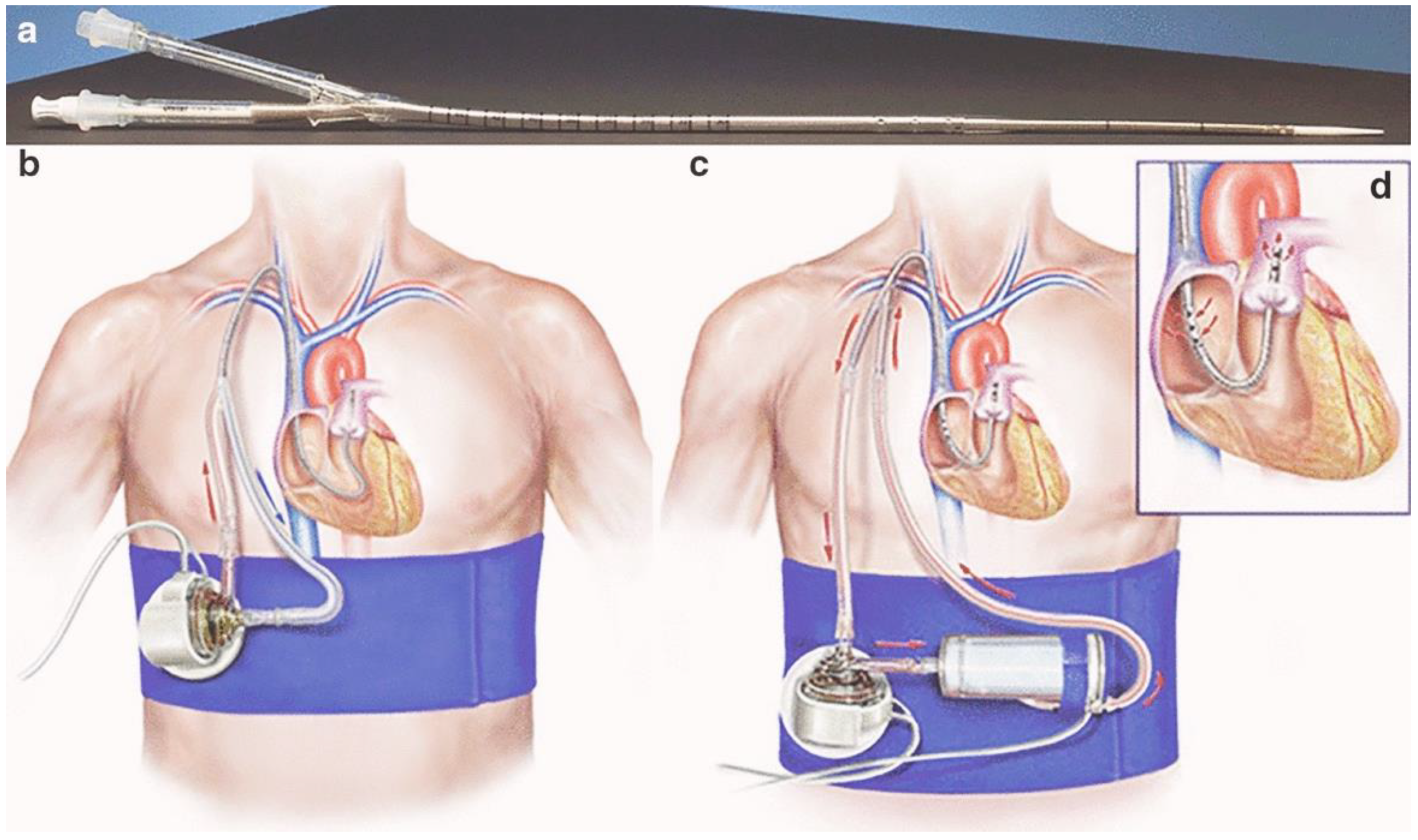 Jcm 13 04077 g001 Jcm 13 04077 g001