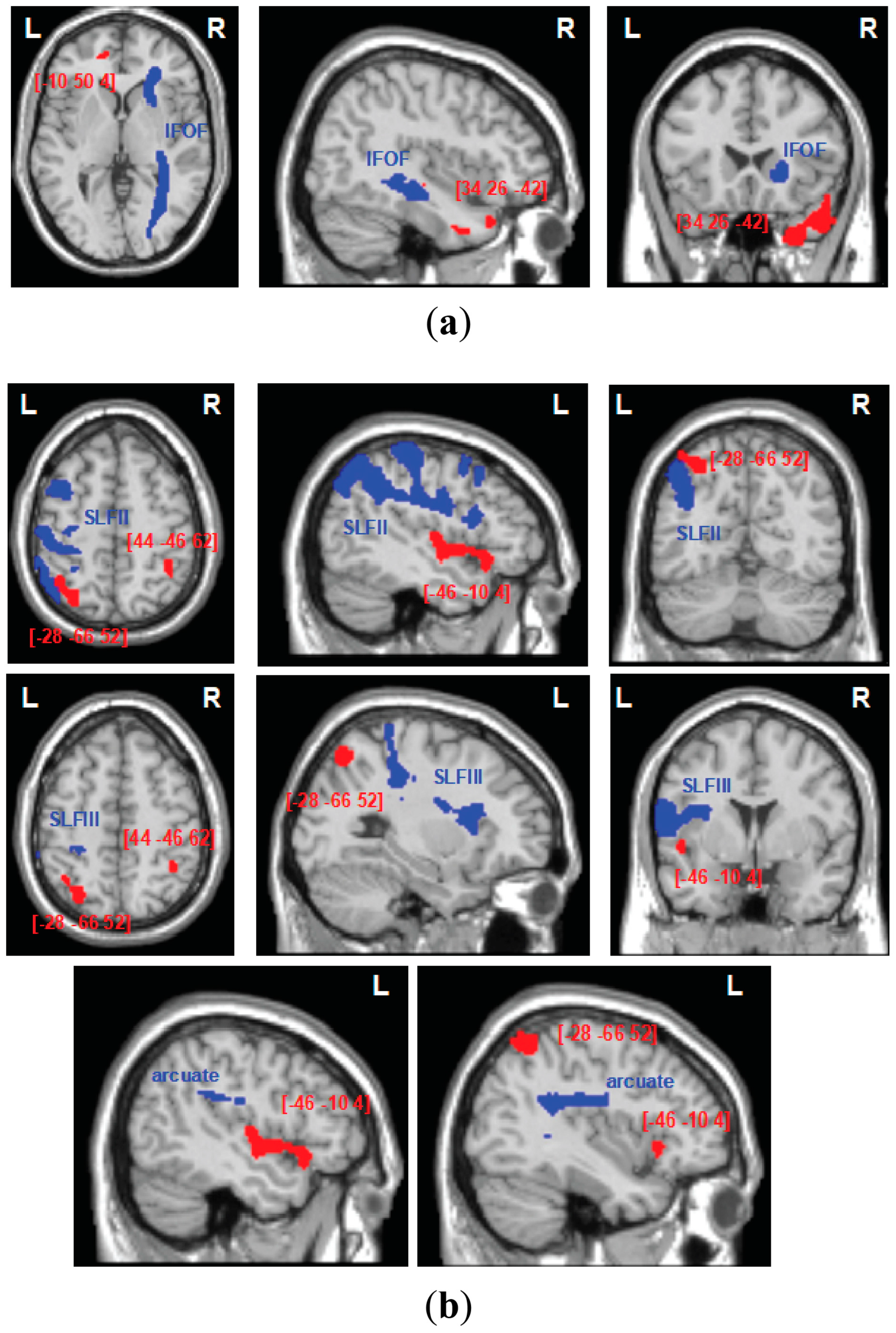 Jcm 13 04170 g005 Jcm 13 04170 g005