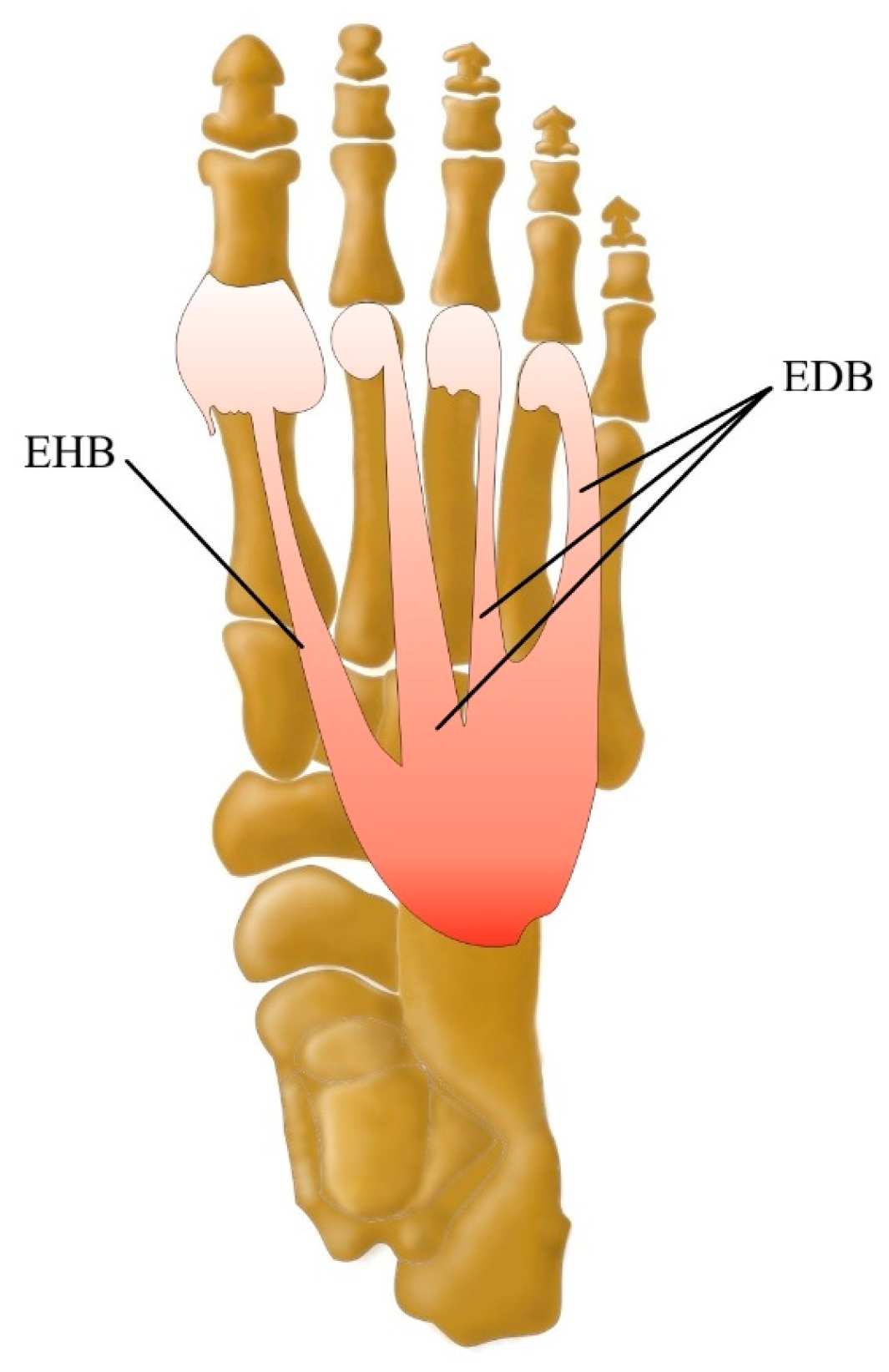 Jcm 13 04286 g002 Jcm 13 04286 g002