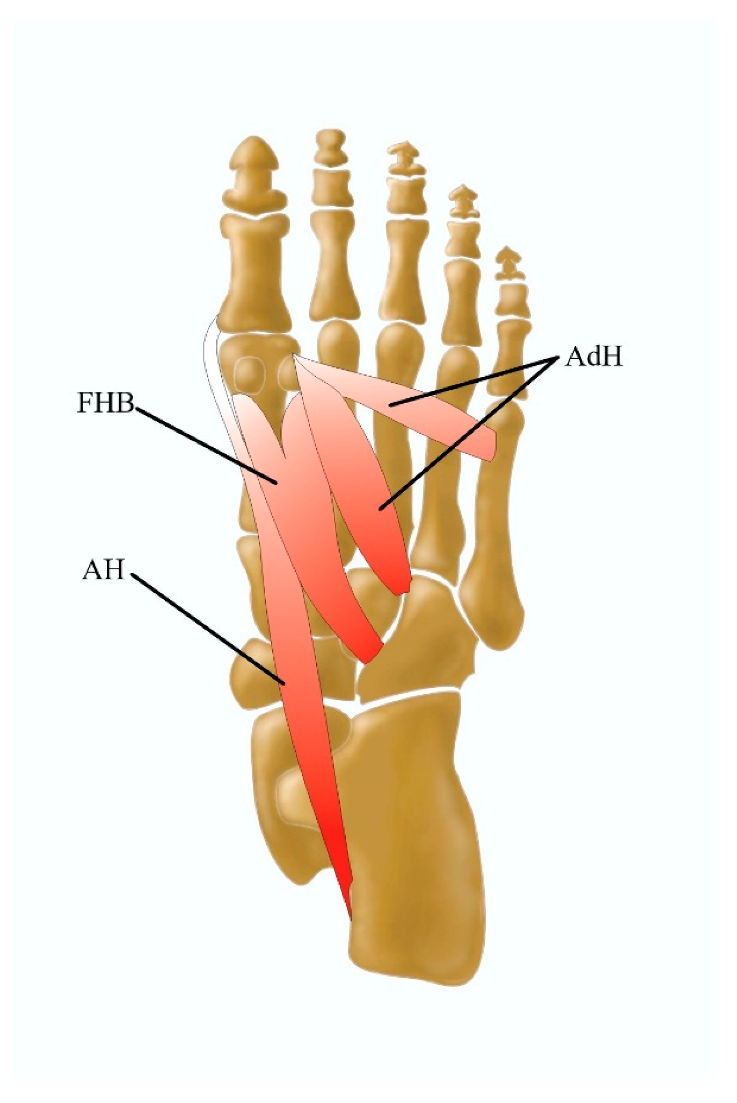 Jcm 13 04286 g003 Jcm 13 04286 g003