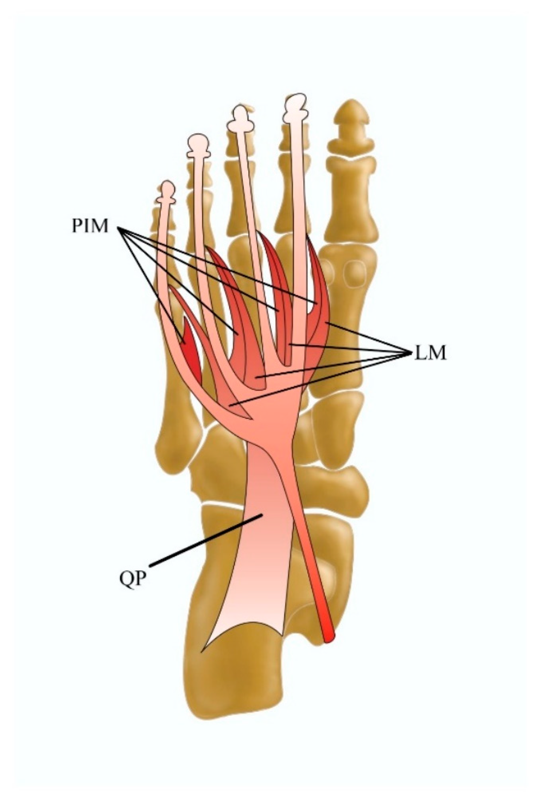 Jcm 13 04286 g005 Jcm 13 04286 g005