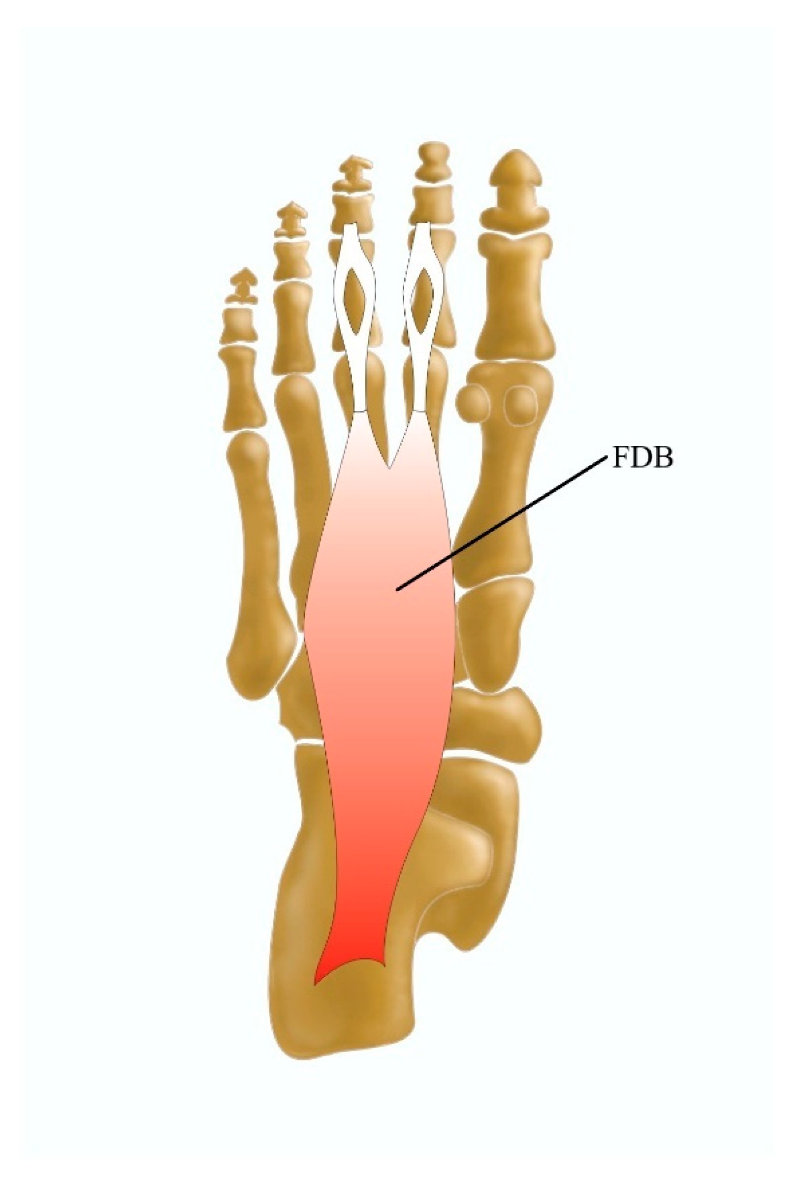 Jcm 13 04286 g006 Jcm 13 04286 g006