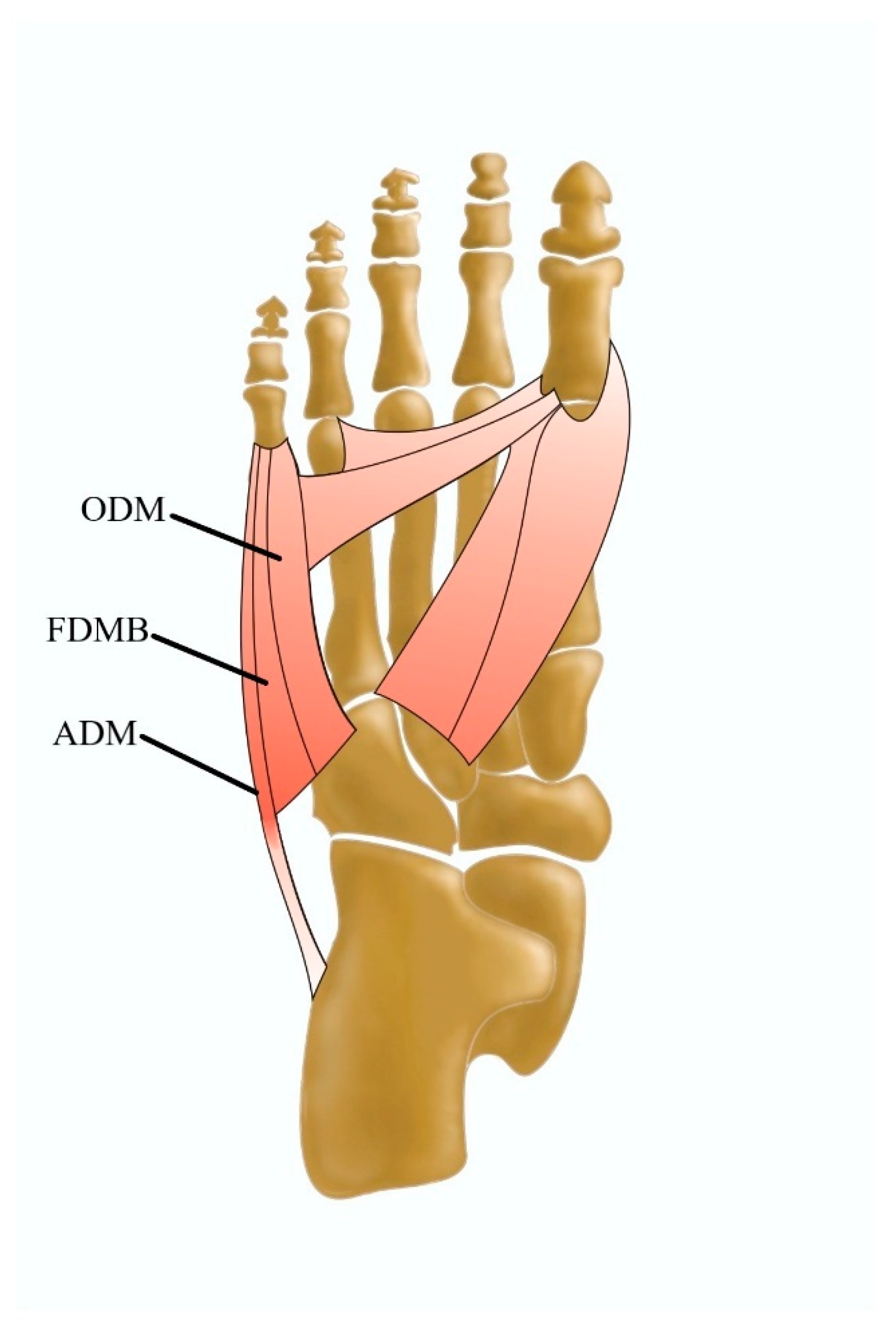 Jcm 13 04286 g007 Jcm 13 04286 g007
