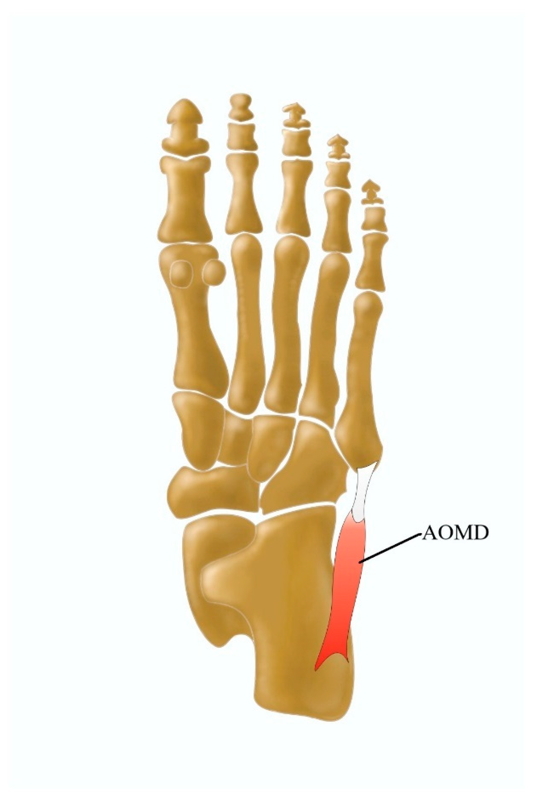 Jcm 13 04286 g008 Jcm 13 04286 g008