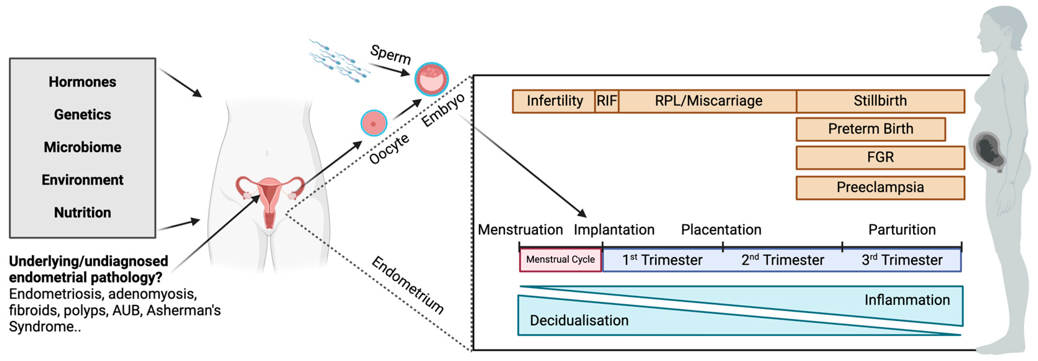 Jcm 13 04430 g001 Jcm 13 04430 g001