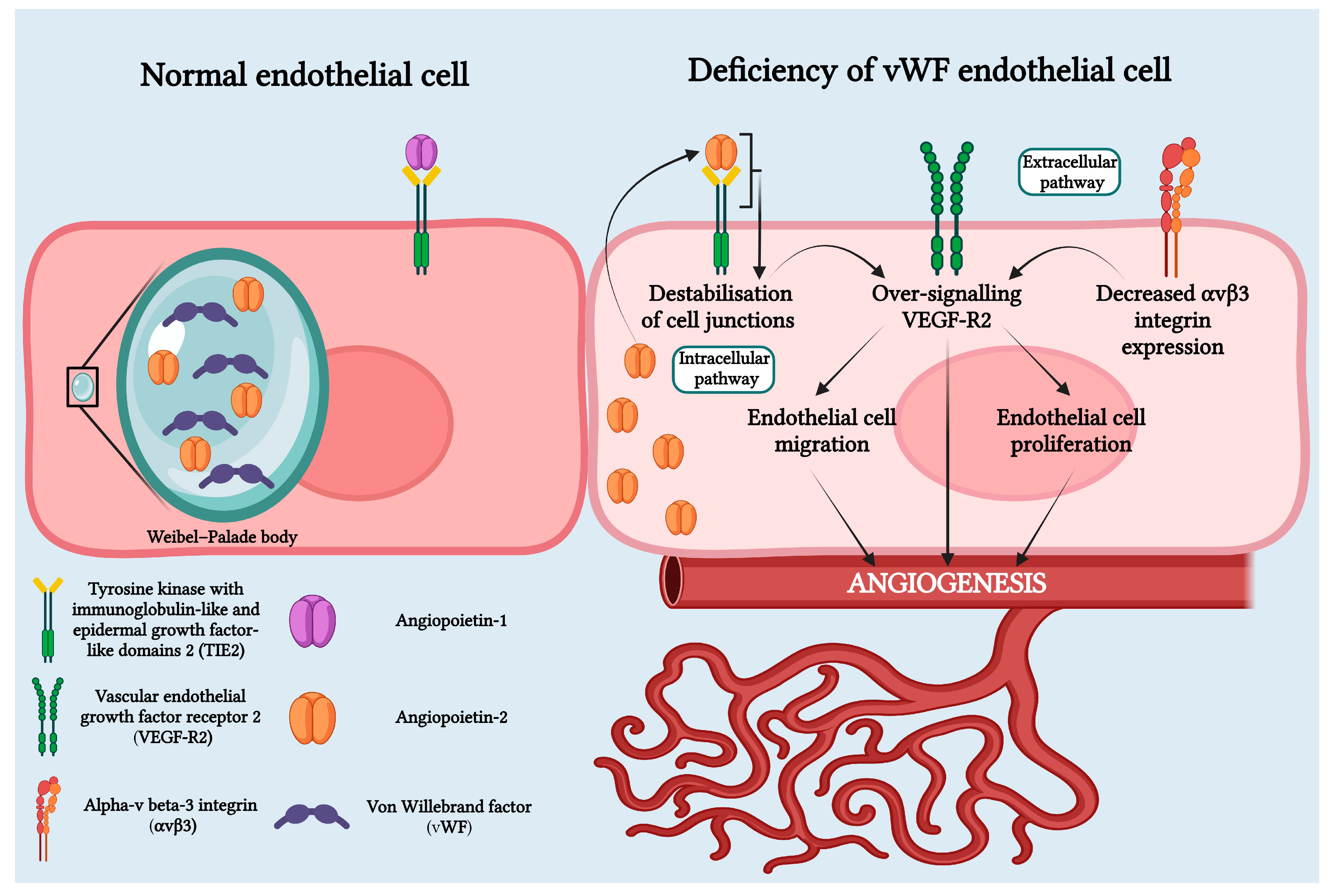 Jcm 13 04515 g005 Jcm 13 04515 g005