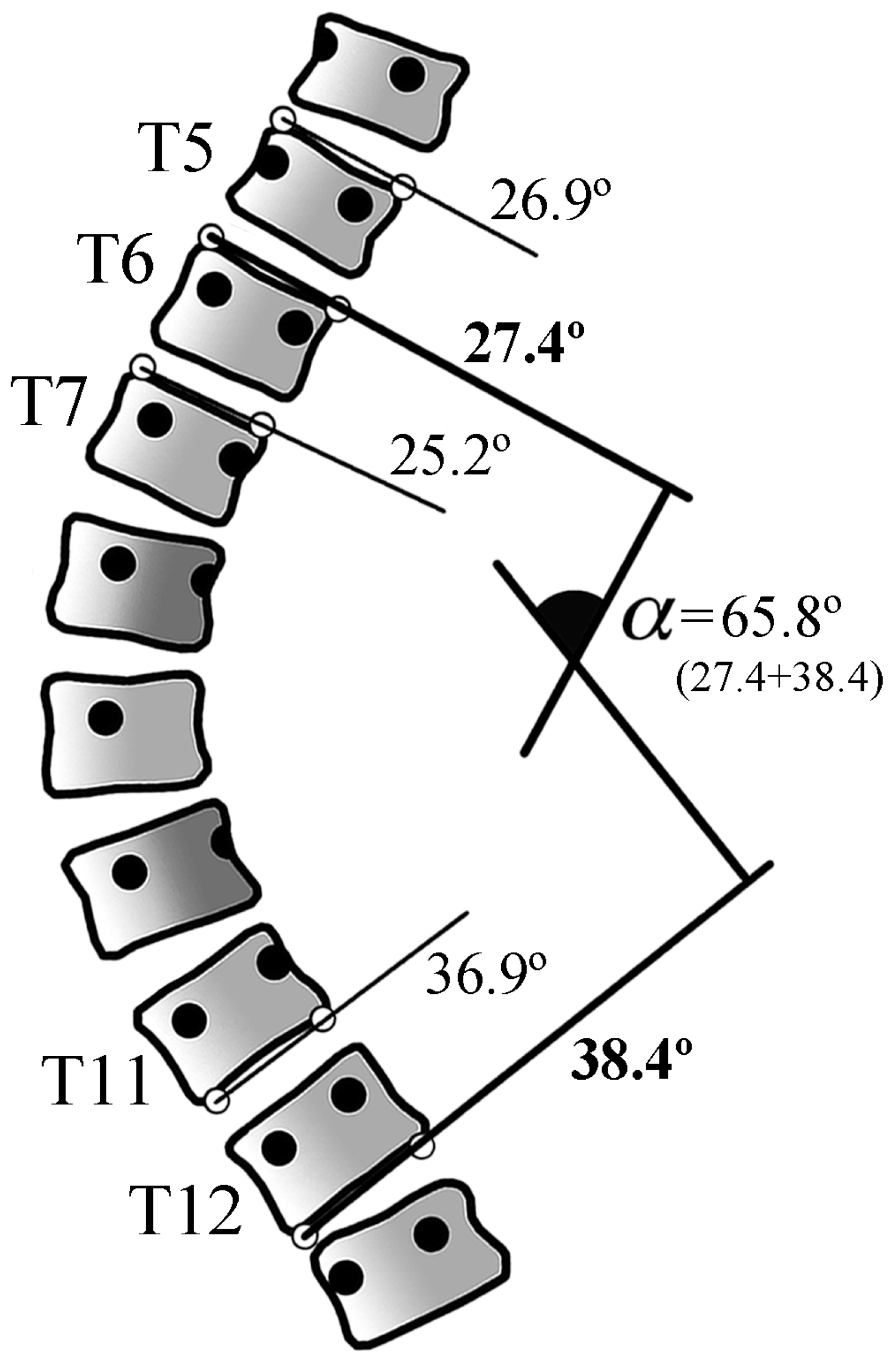 Jcm 13 04562 g001 Jcm 13 04562 g001