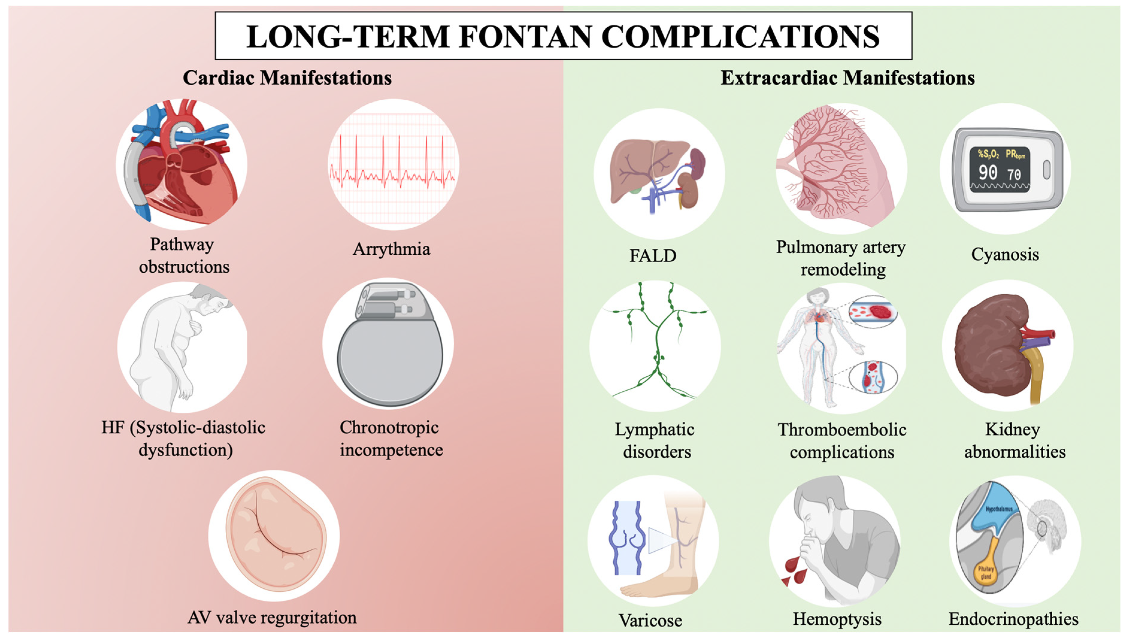 Jcm 13 04633 g001 Jcm 13 04633 g001