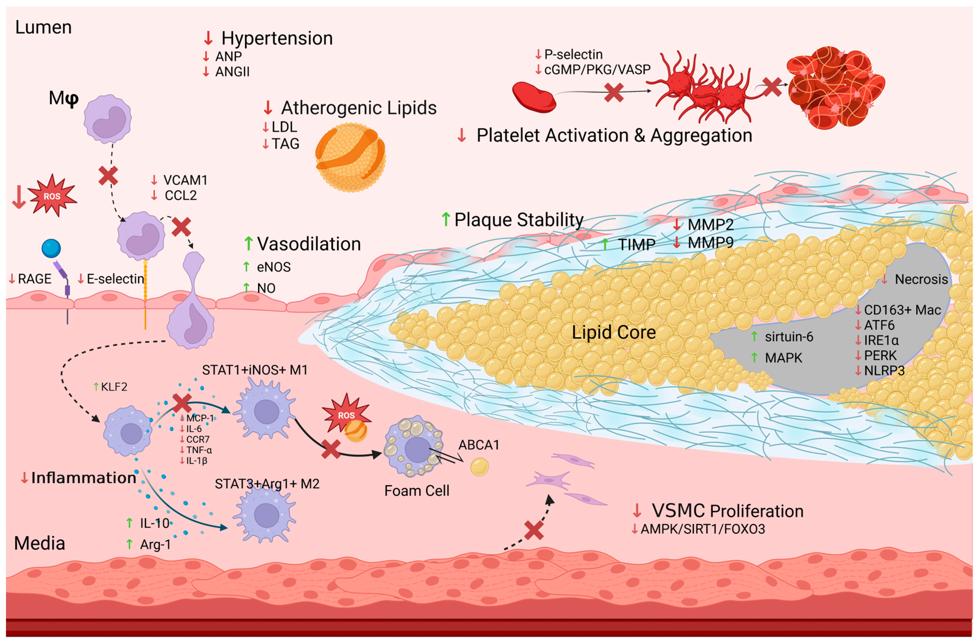 Jcm 13 04674 g003 Jcm 13 04674 g003