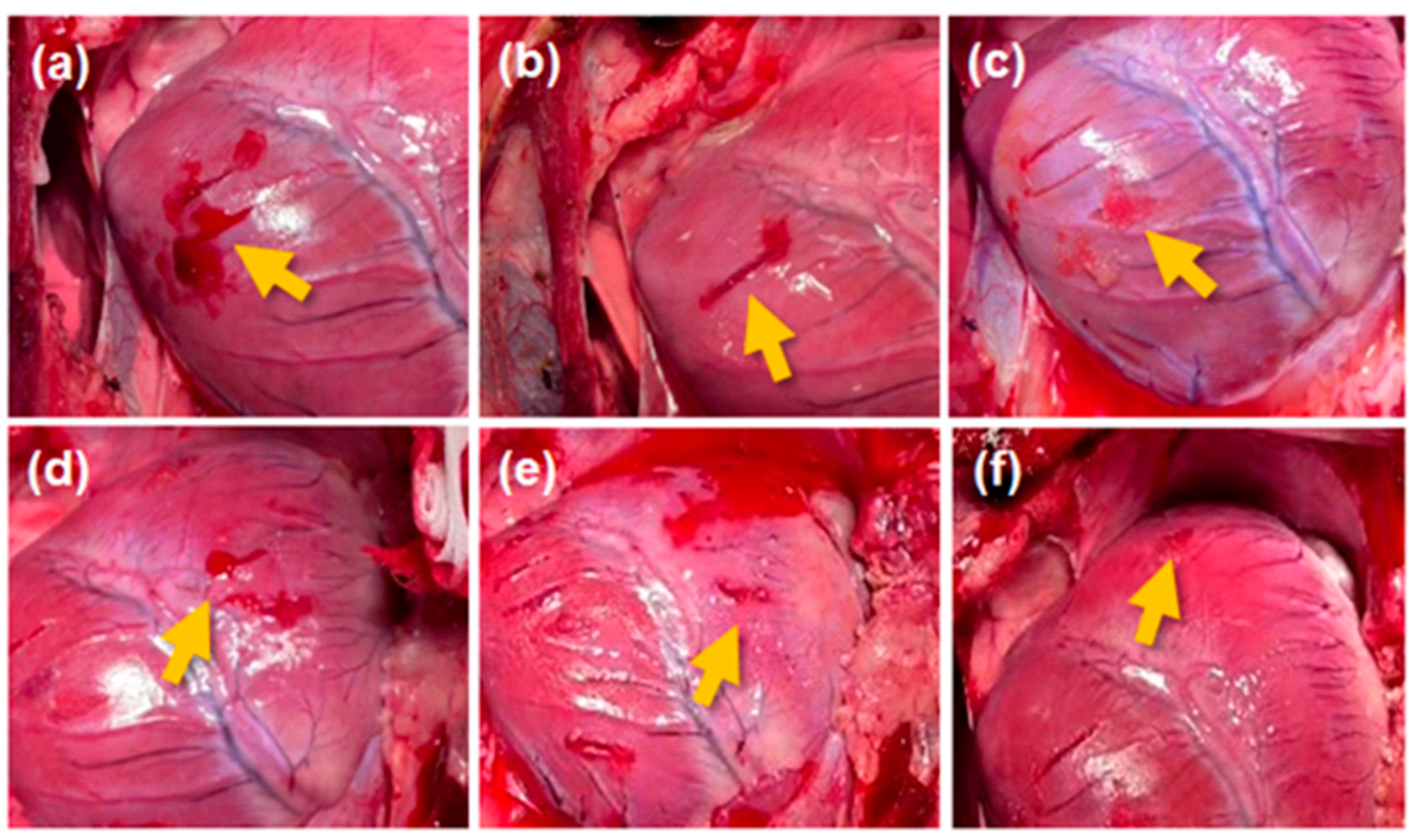 Jcm 13 04770 g003 Jcm 13 04770 g003