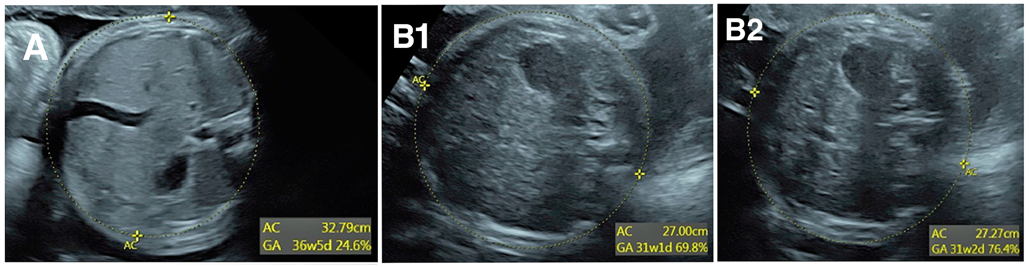 訳あり商品 Quantitative Approach Prenatal of Review Quality to 臨床医学