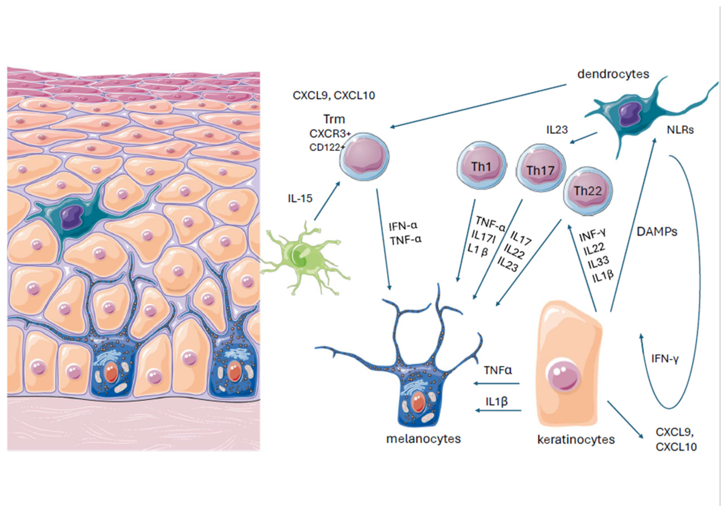 Jcm 13 04919 g001 Jcm 13 04919 g001
